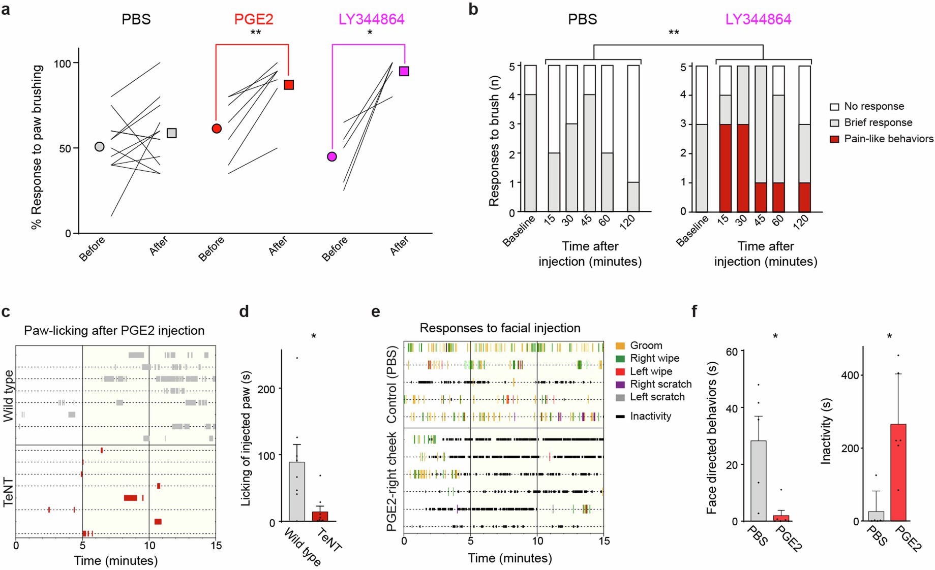 Extended Data Fig. 9: Dynamic tactile allodynia induced by PGE2 or LY344864 and unstimulated behavioral responses to inflammation.