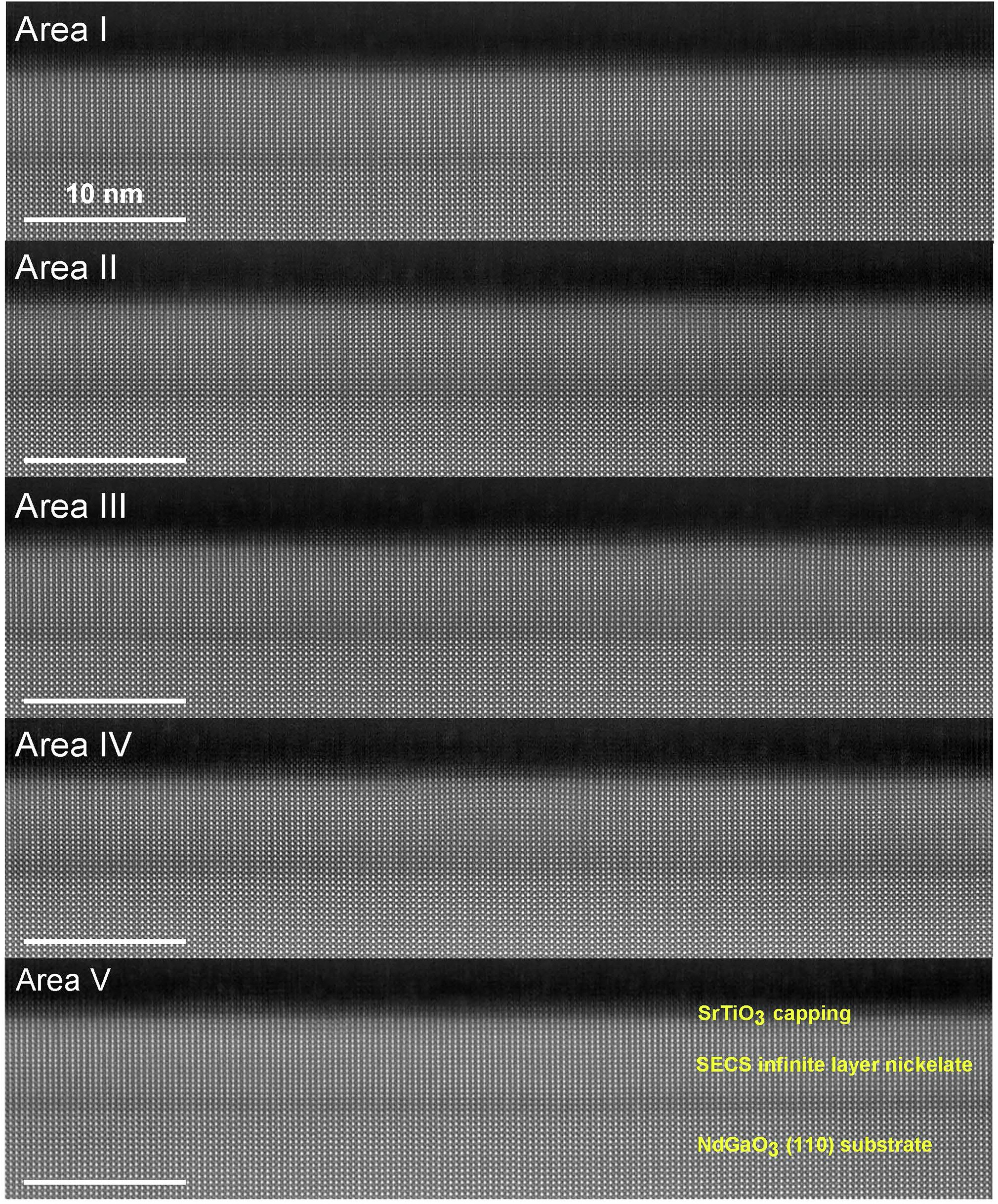 Extended Data Fig. 2