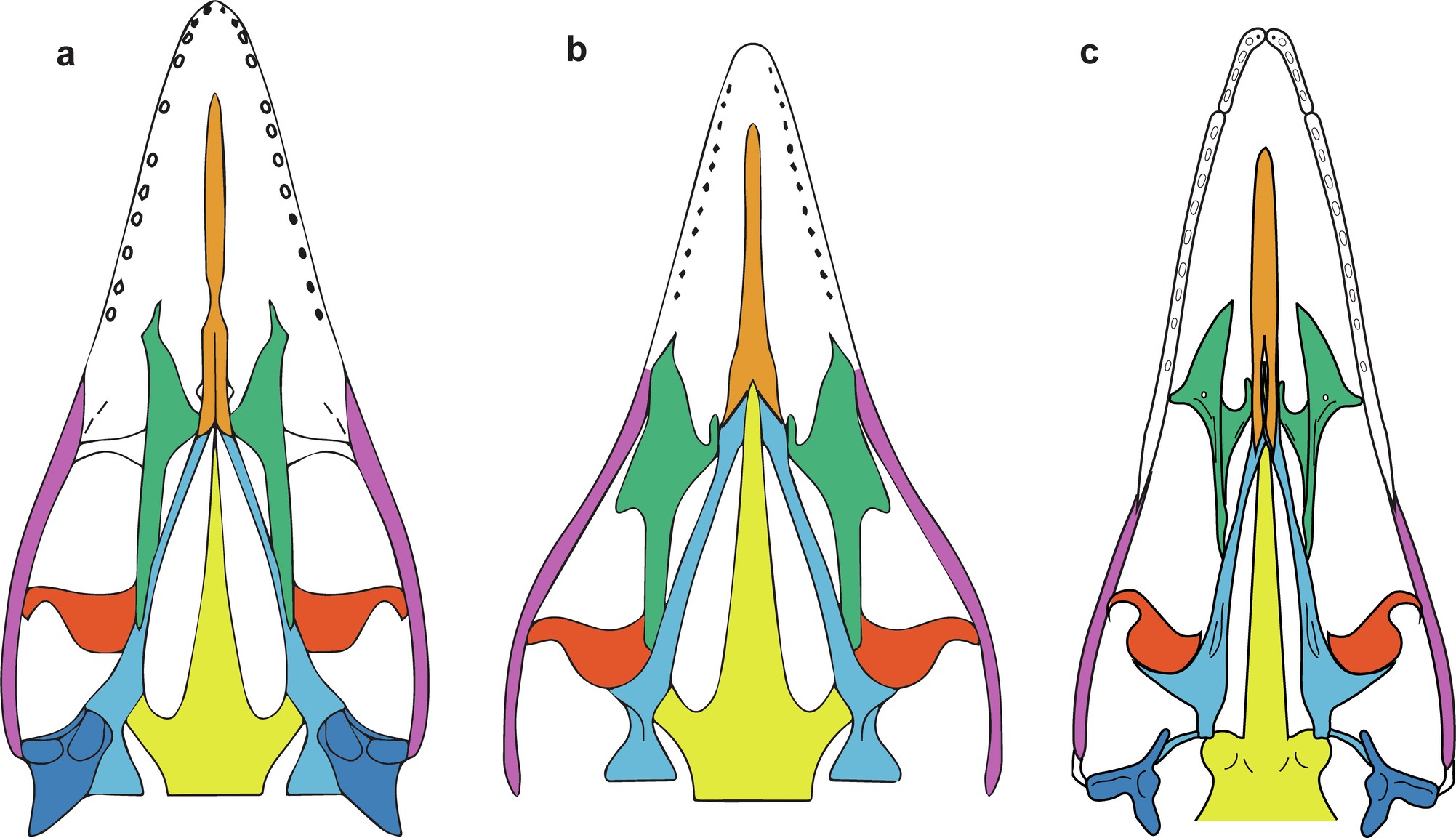 Extended Data Fig. 2