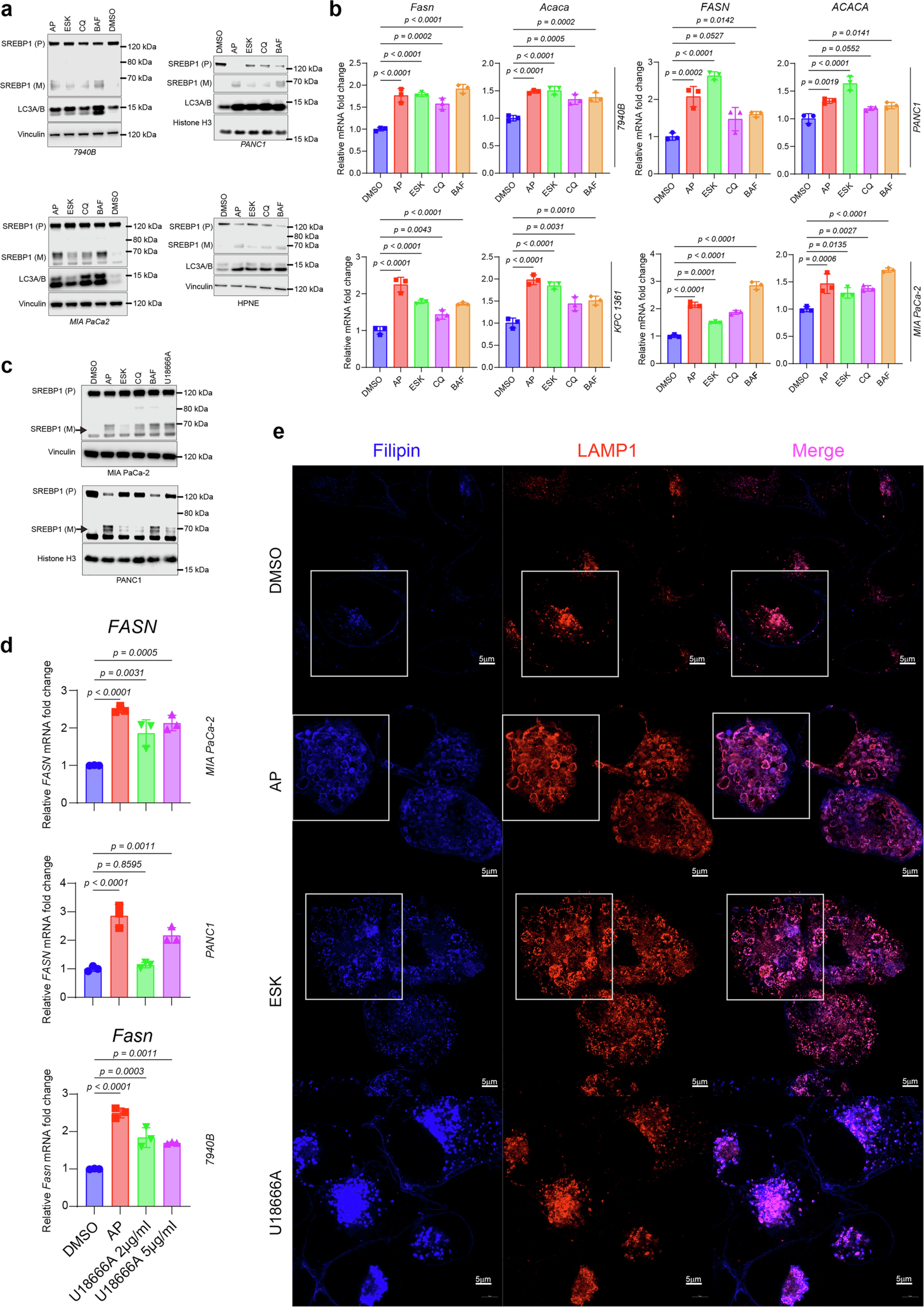 Extended Data Fig. 9