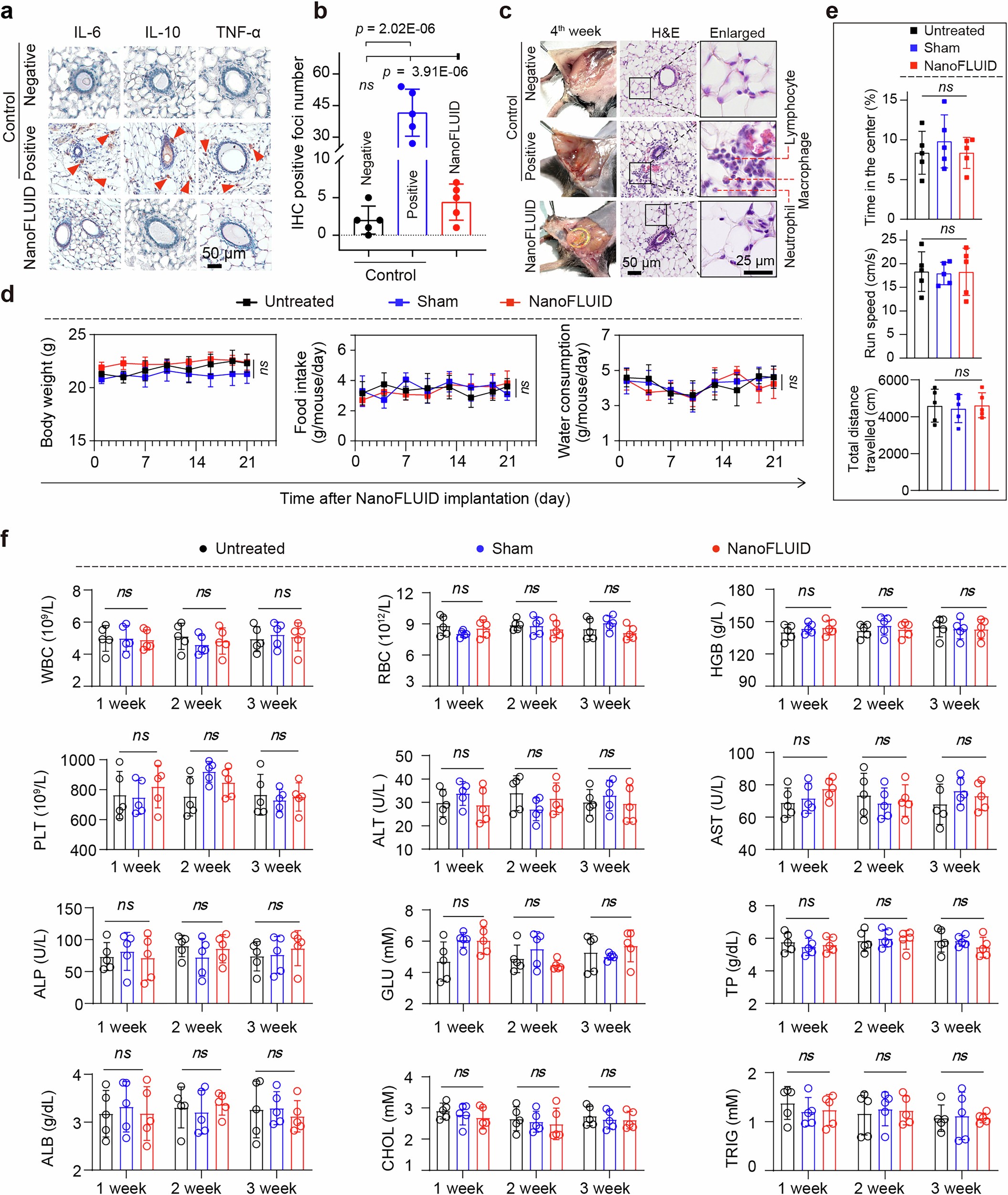Extended Data Fig. 5: Safety of NanoFLUID for in vivo transfection.