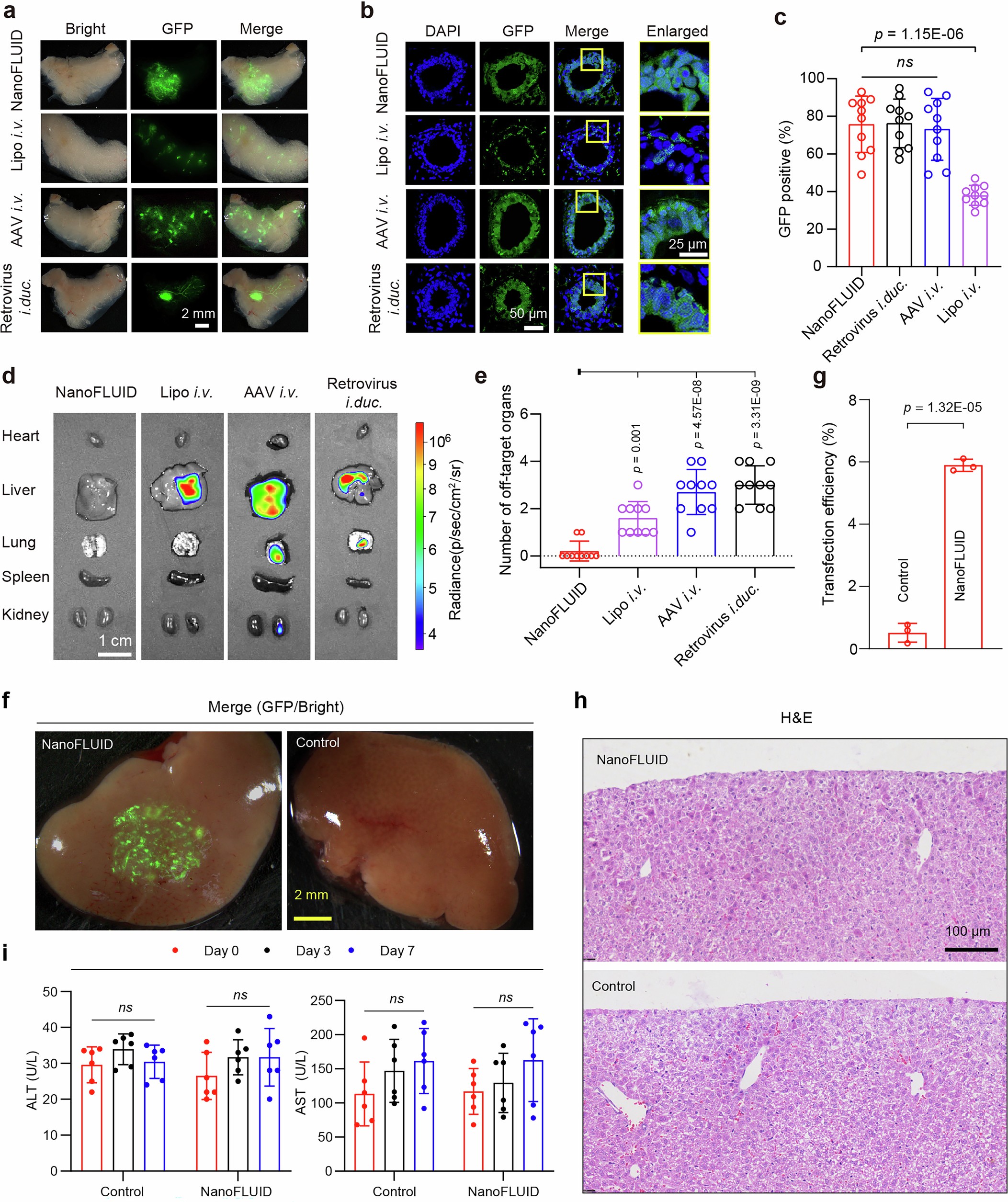 Extended Data Fig. 7: Efficiency of NanoFLUID-mediated in vivo transfection.