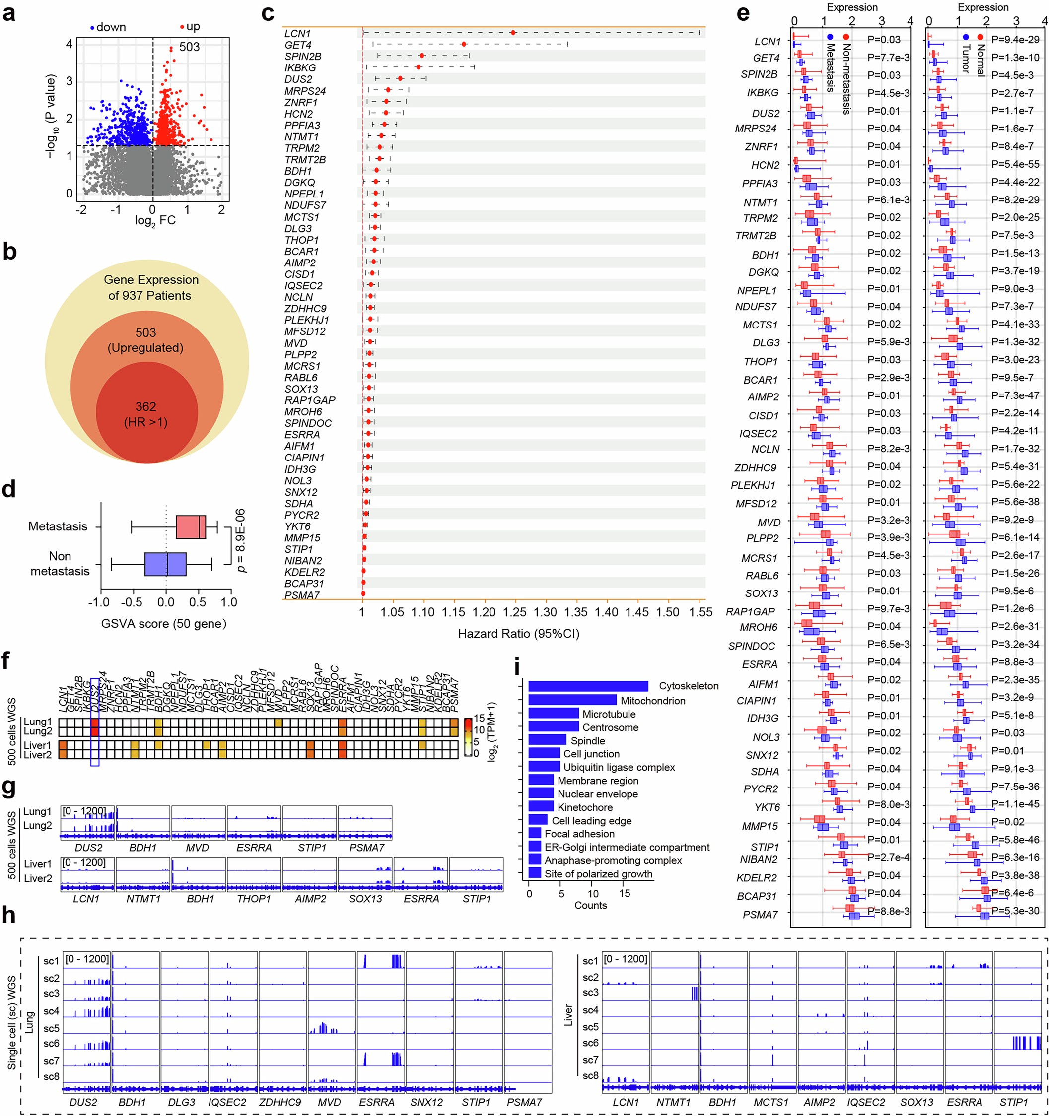 Extended Data Fig. 10: Gene library construction from TCGA.