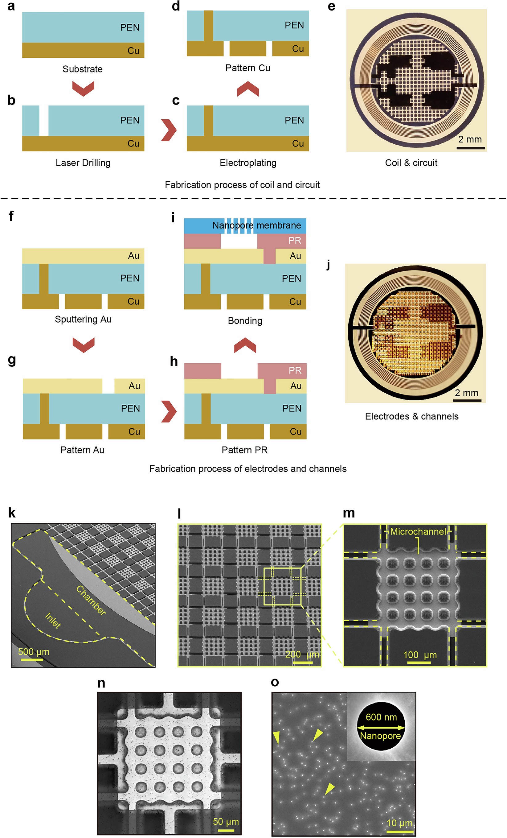 Extended Data Fig. 1: Microscopic details and fabrication of NanoFLUID.