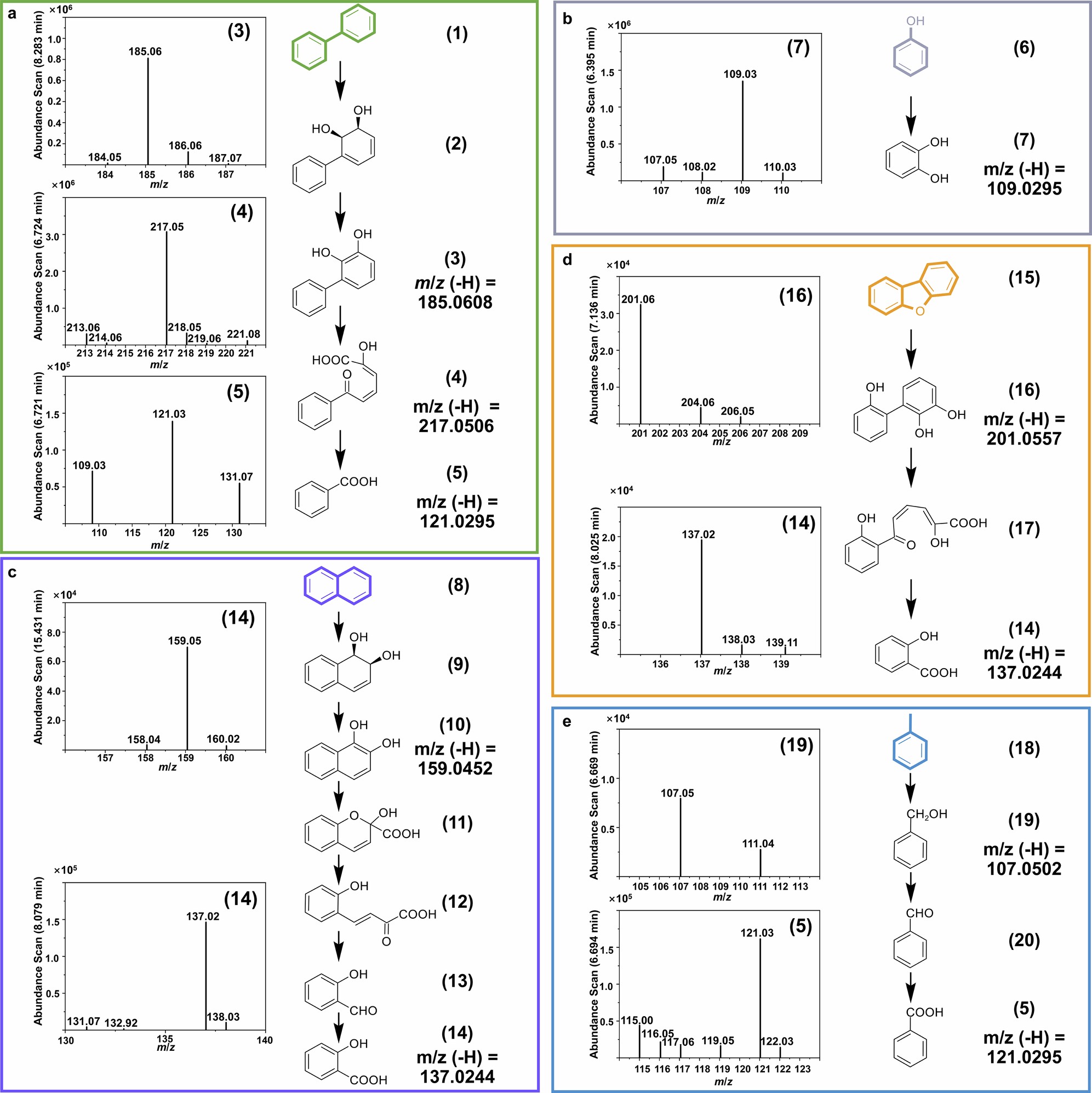 Extended Data Fig. 9: Pathways for complex pollutant degradation by VCOD-15.