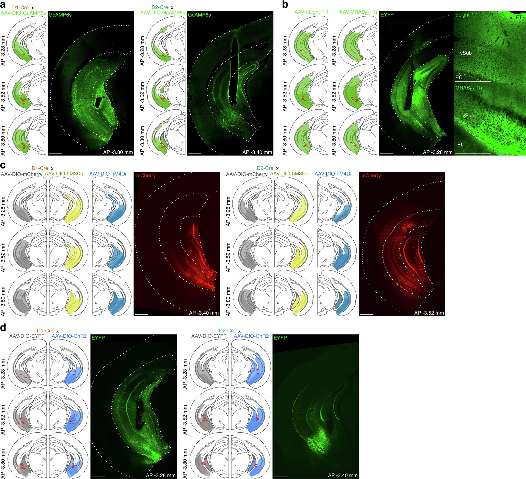 Extended Data Fig. 4