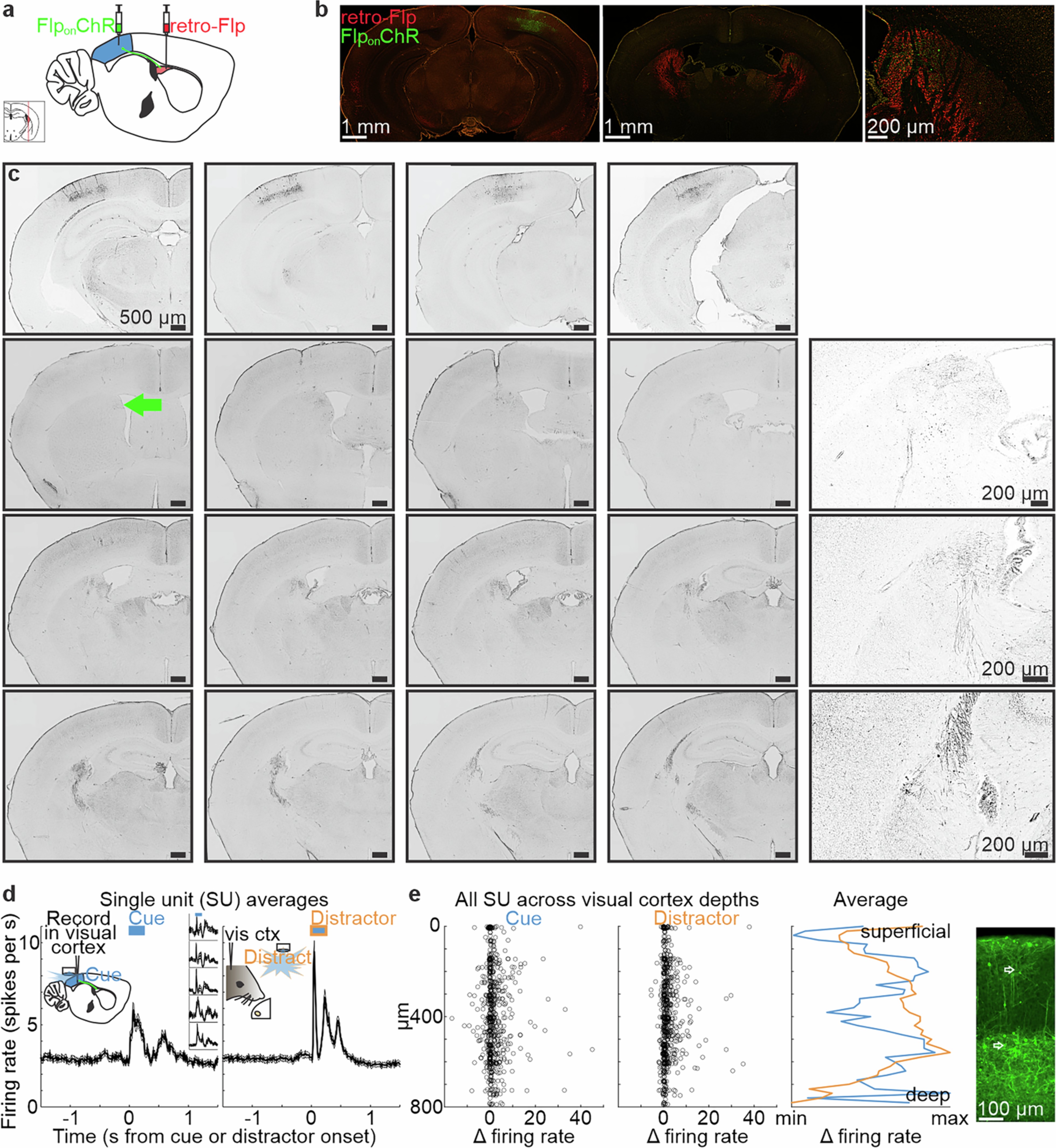 Extended Data Fig. 2