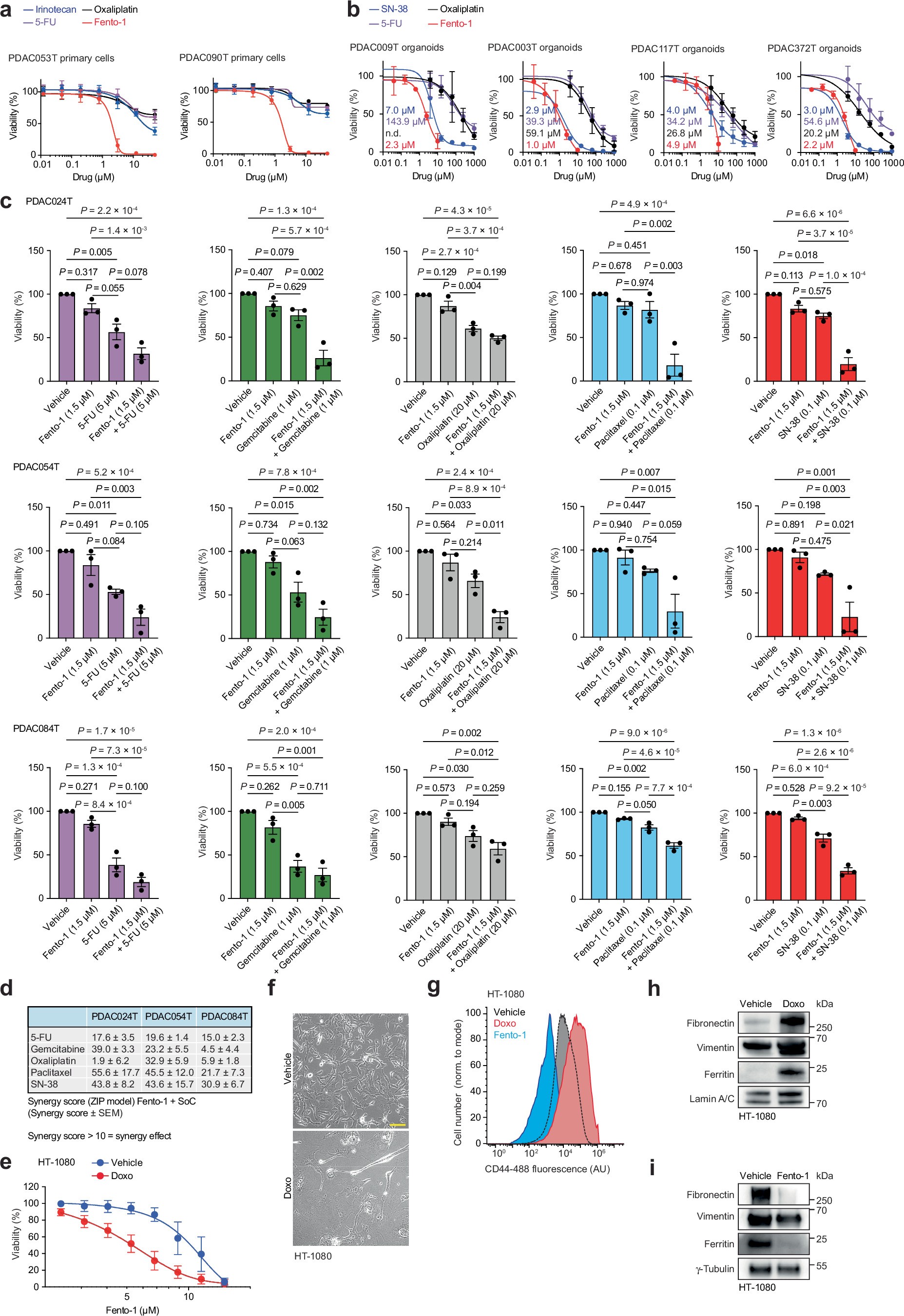 Extended Data Fig. 9: Fento-1 induces ferroptosis in CD44high iron-rich cancer cells (Part 2).