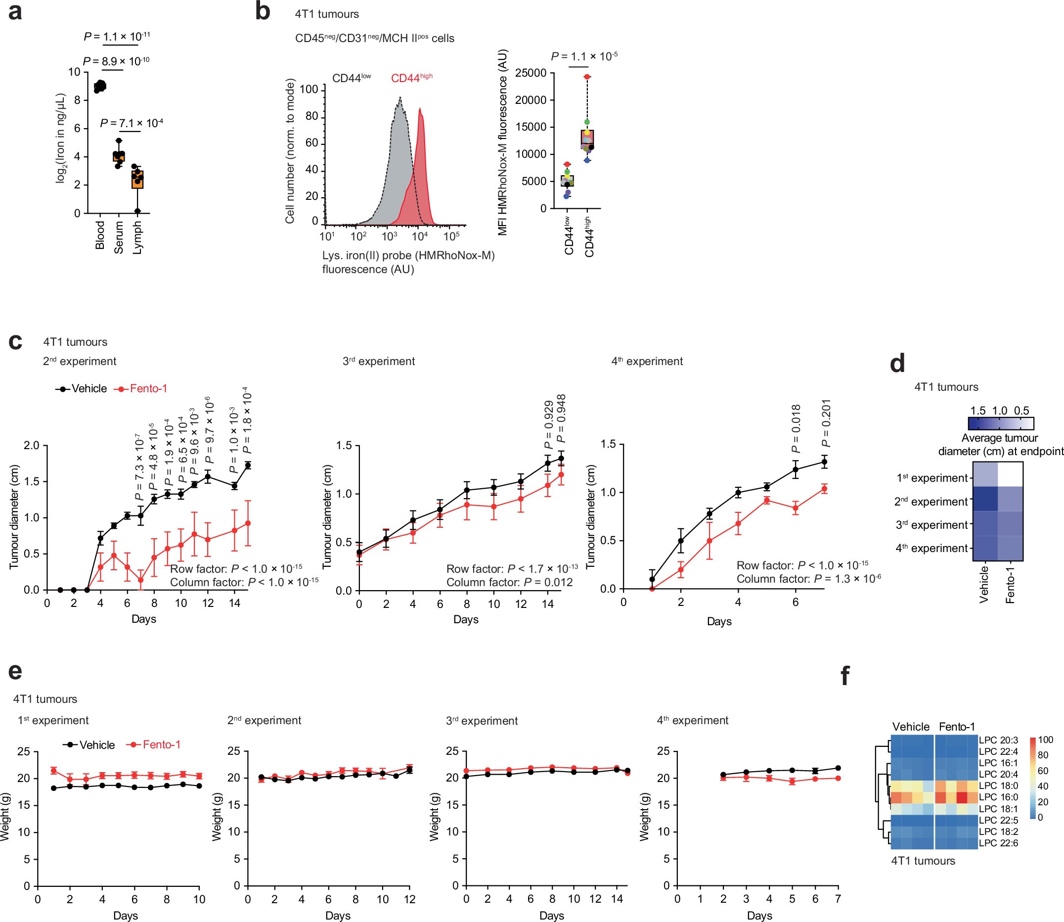 Extended Data Fig. 10: Fento-1 induces ferroptosis in CD44high iron-rich cancer cells (Part 3).