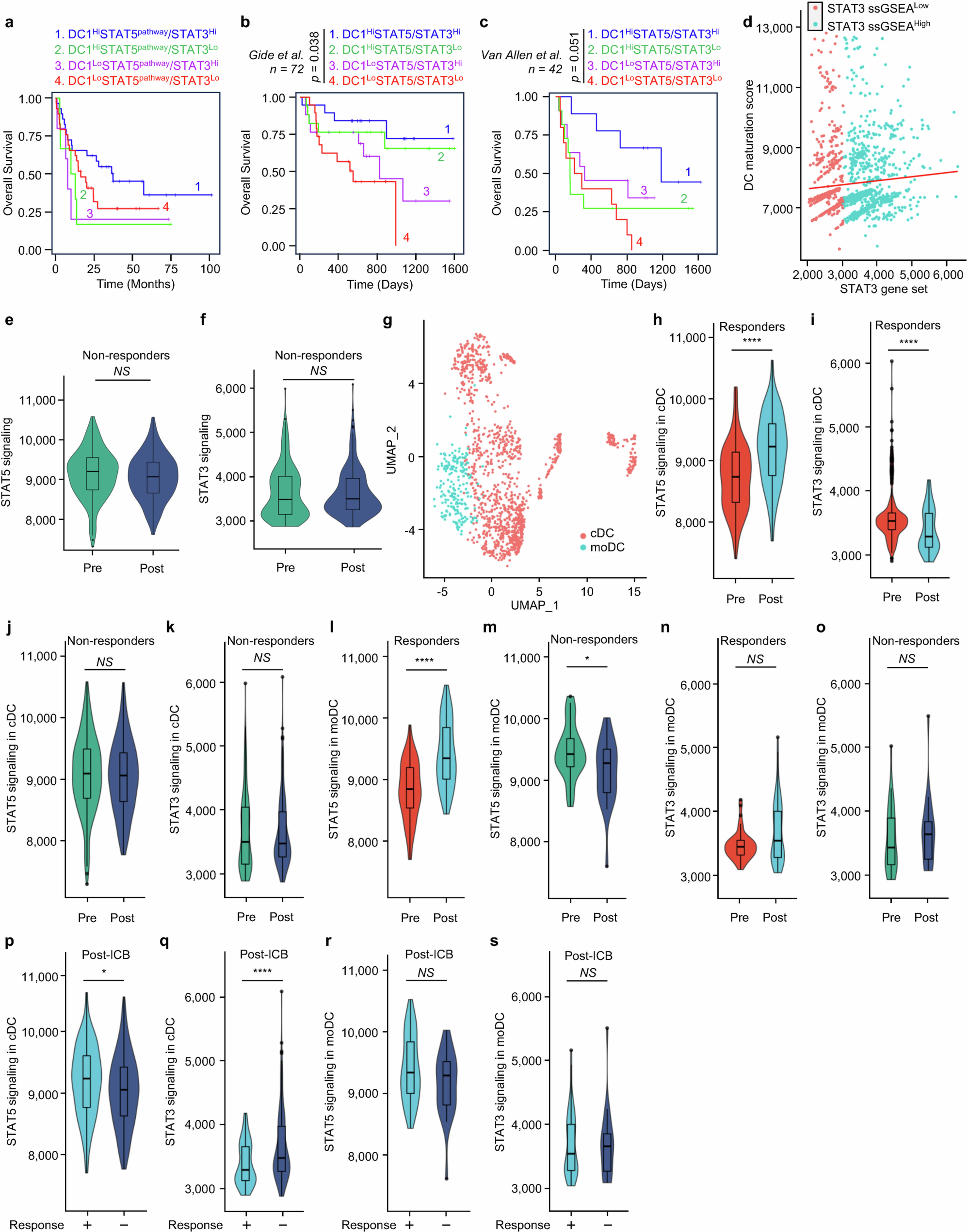 Extended Data Fig. 1: Role of DC STAT5 and STAT3 in ICB.