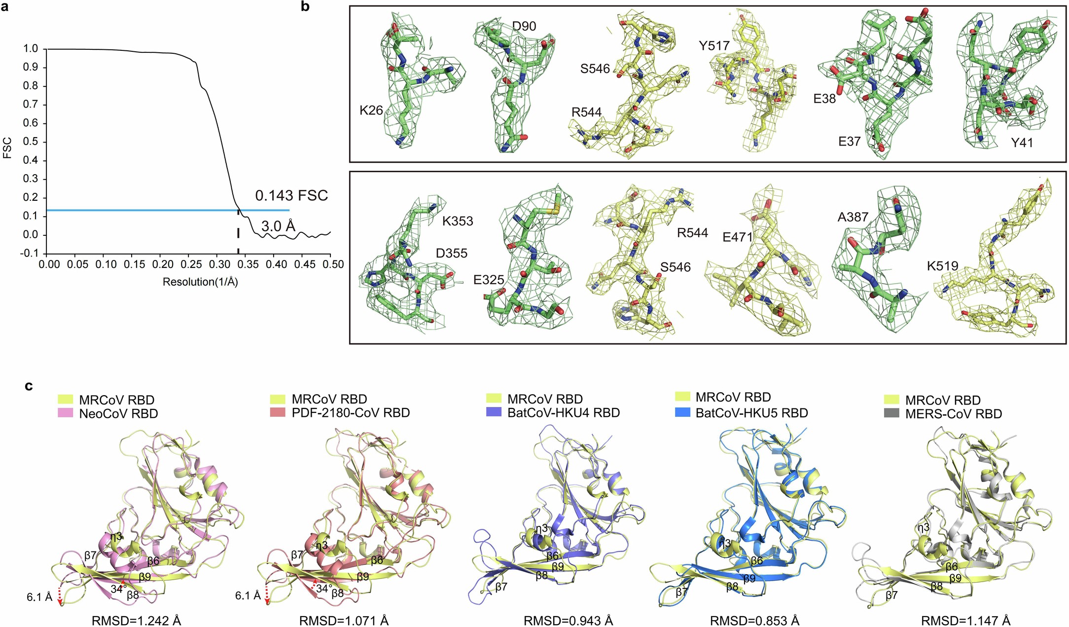 Extended Data Fig. 3: Resolution and electron density map of NvACE2:MRCoV RBD complex and structural comparison of RBDs of different MERS-CoV-related CoVs.