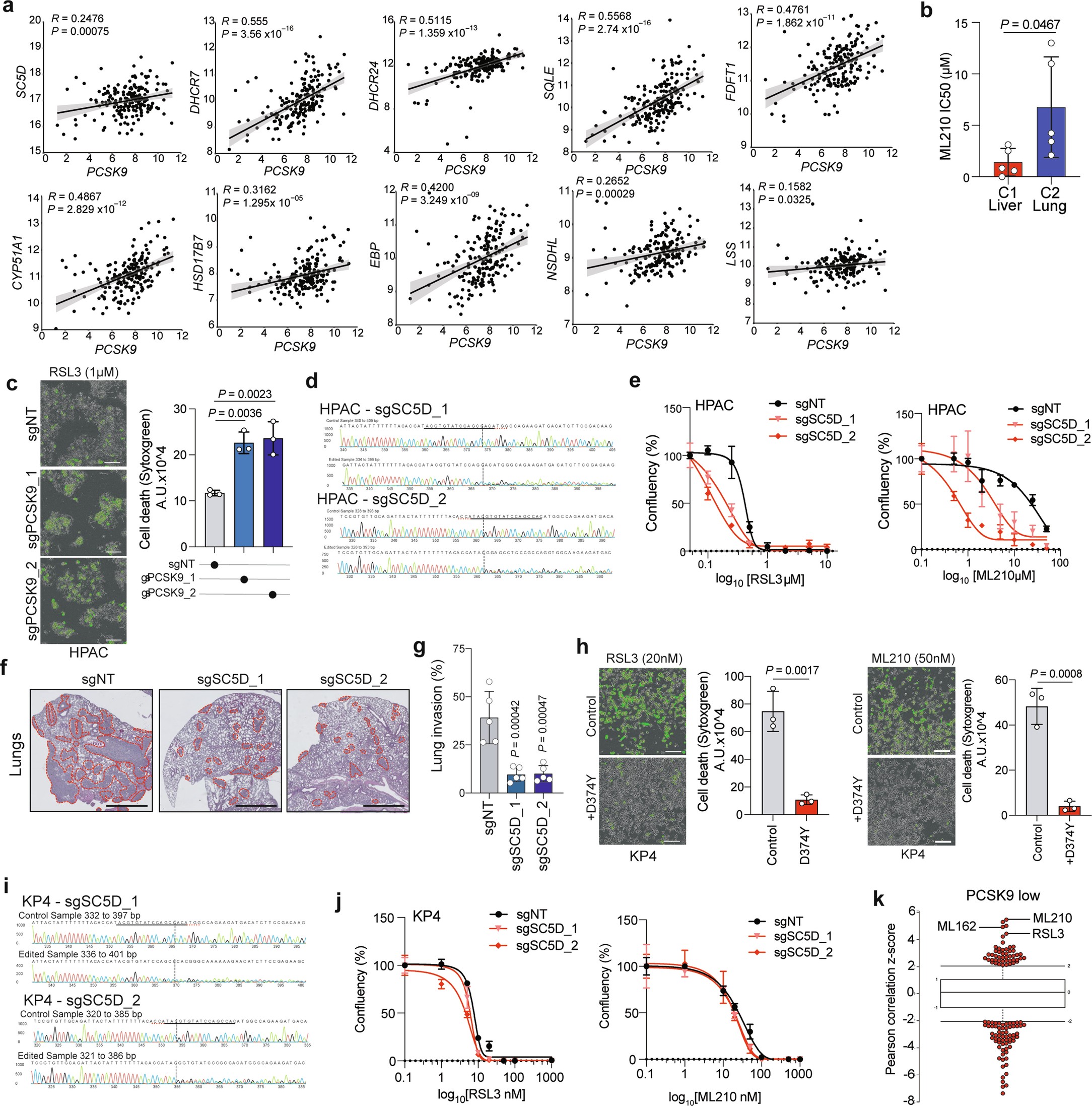 Extended Data Fig. 10: Lung-avid PDAC cells utilize cholesterol synthesis to generate sterols that protect against ferroptosis.