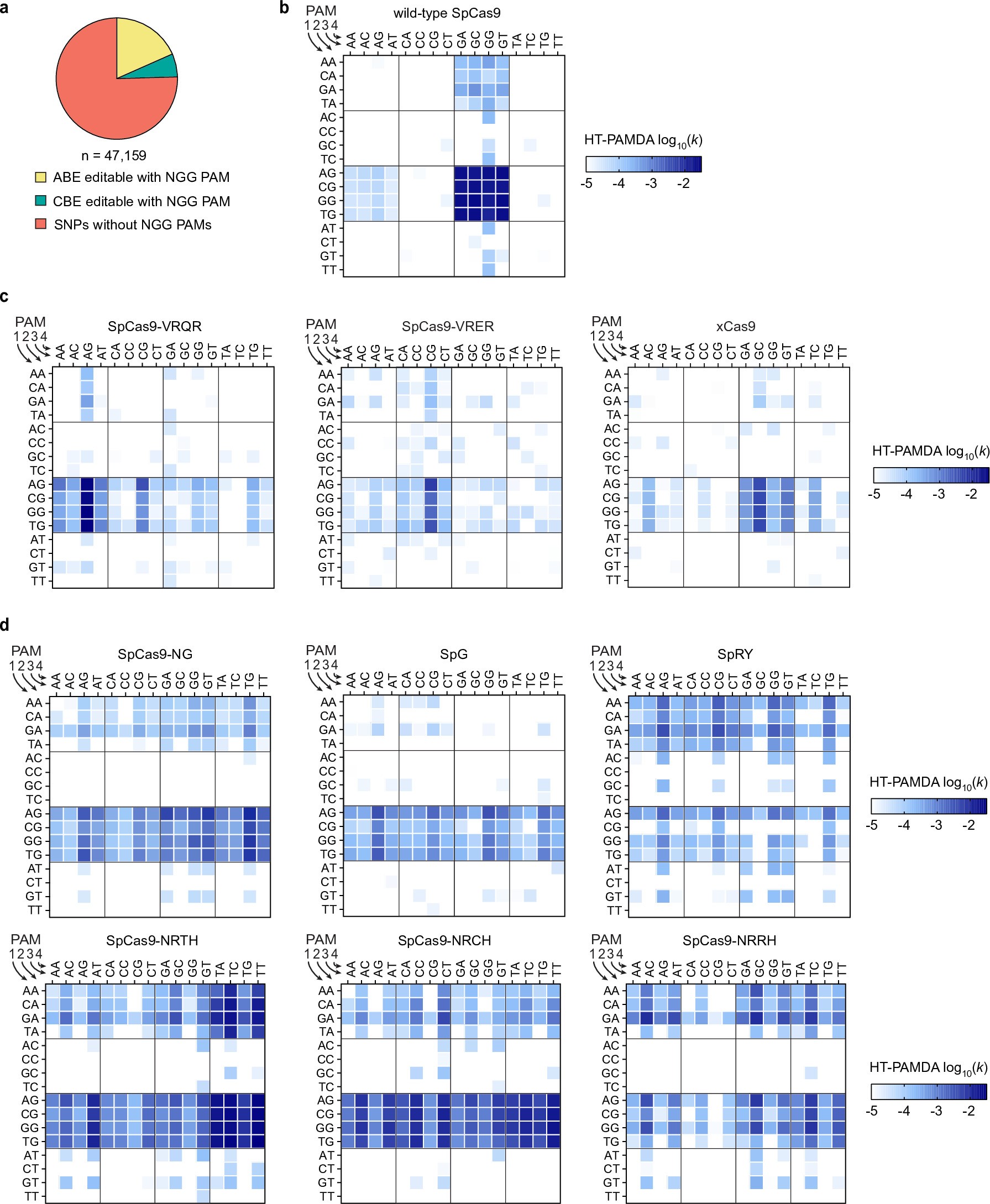Extended Data Fig. 1: Targeting range and characterization of previous engineered SpCas9 PAM variant enzymes.