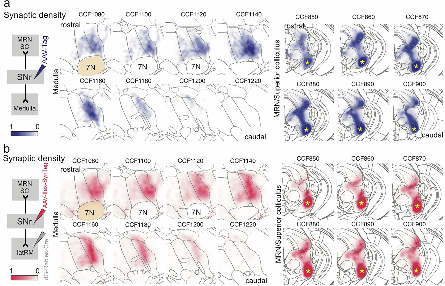 Extended Data Fig. 6