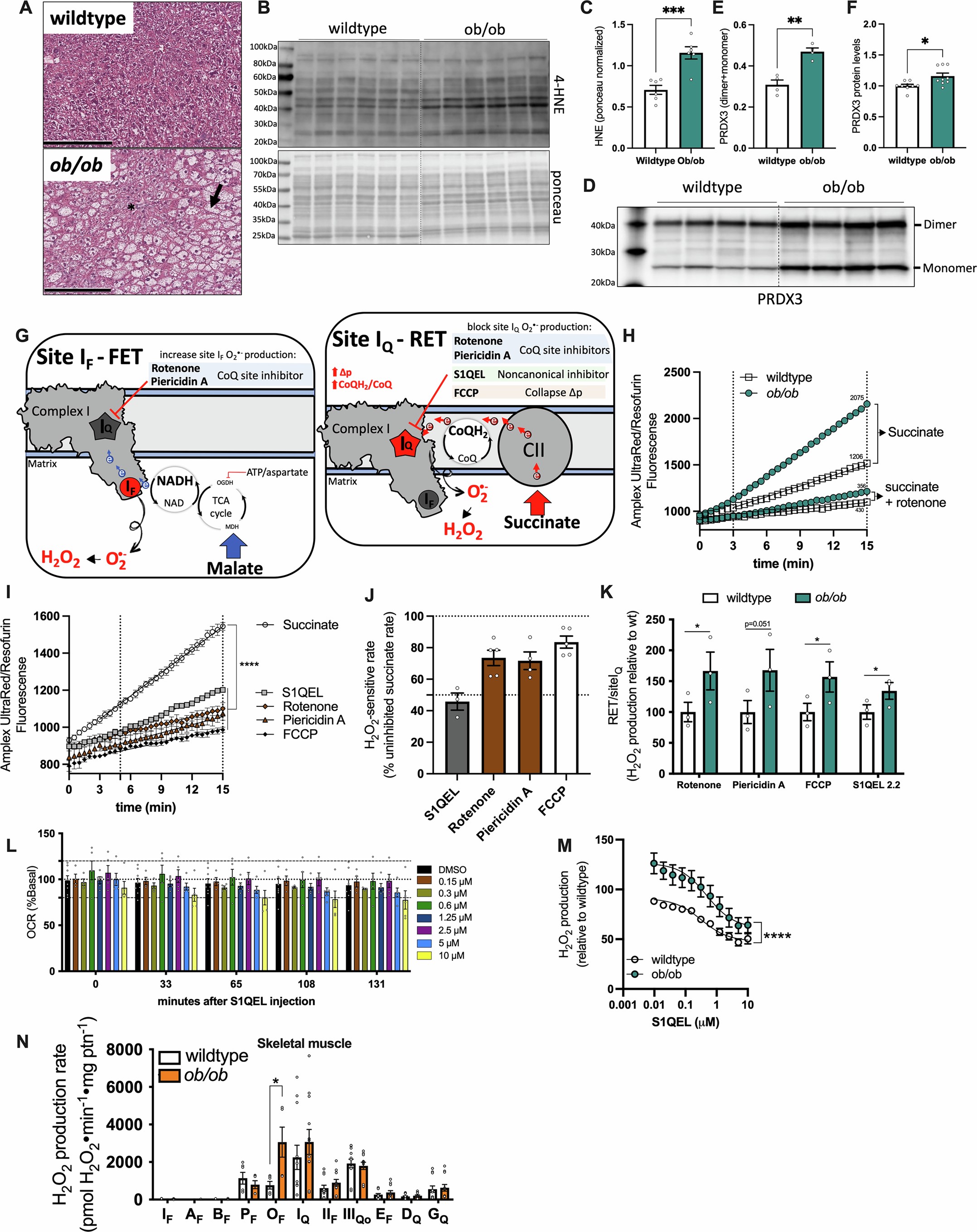 Extended Data Fig. 1