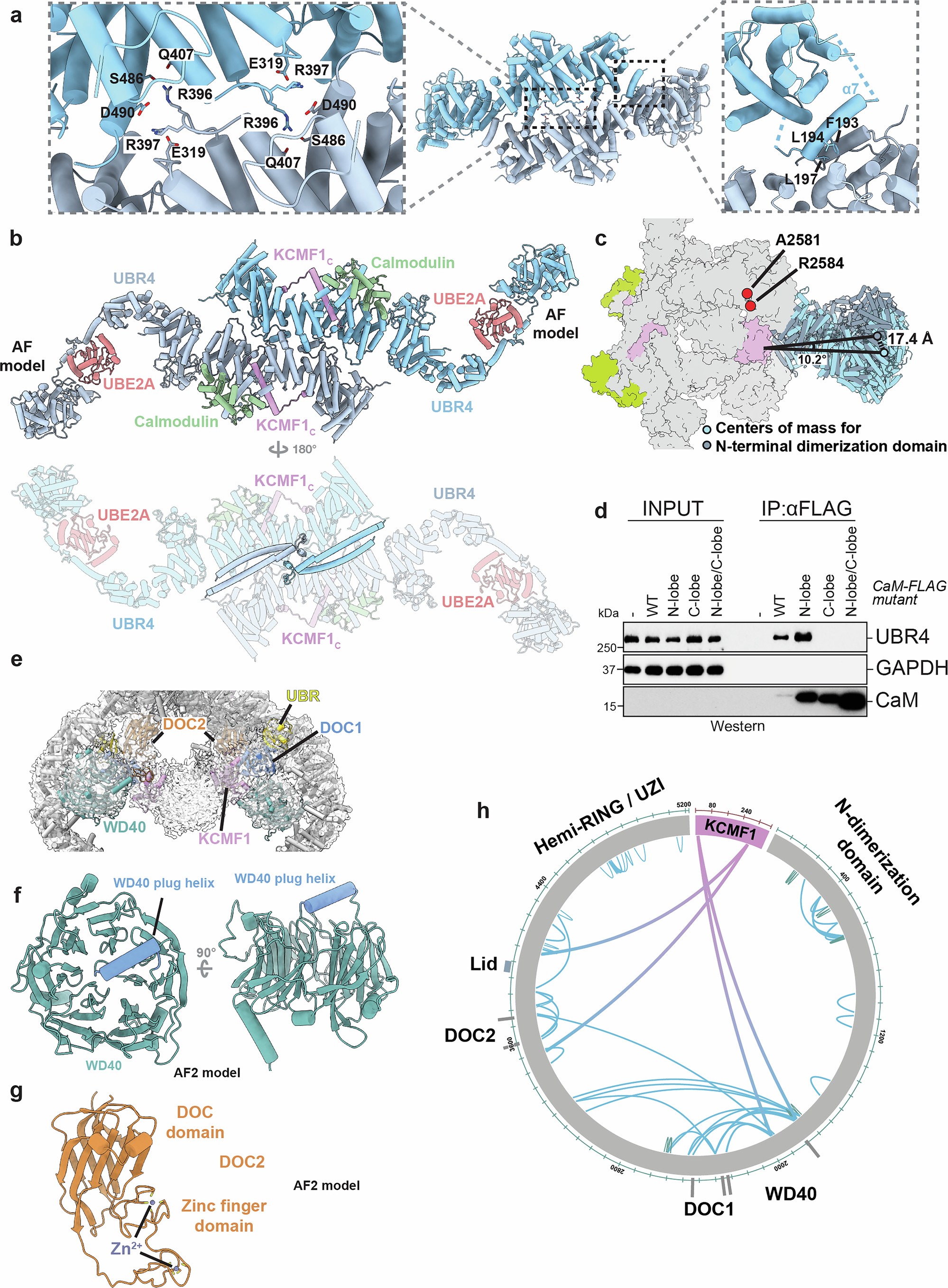 Extended Data Fig. 2