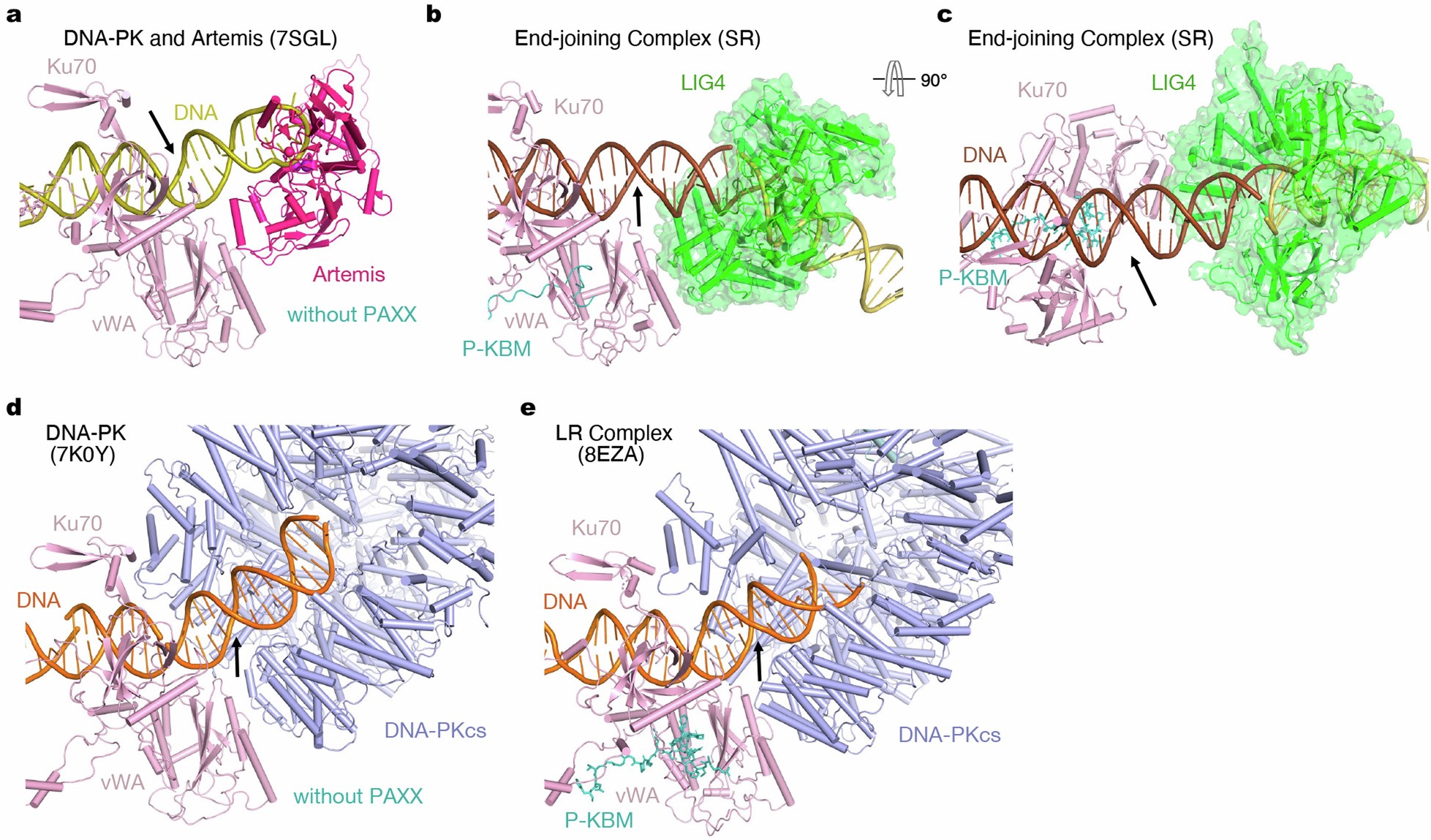 Extended Data Fig. 8