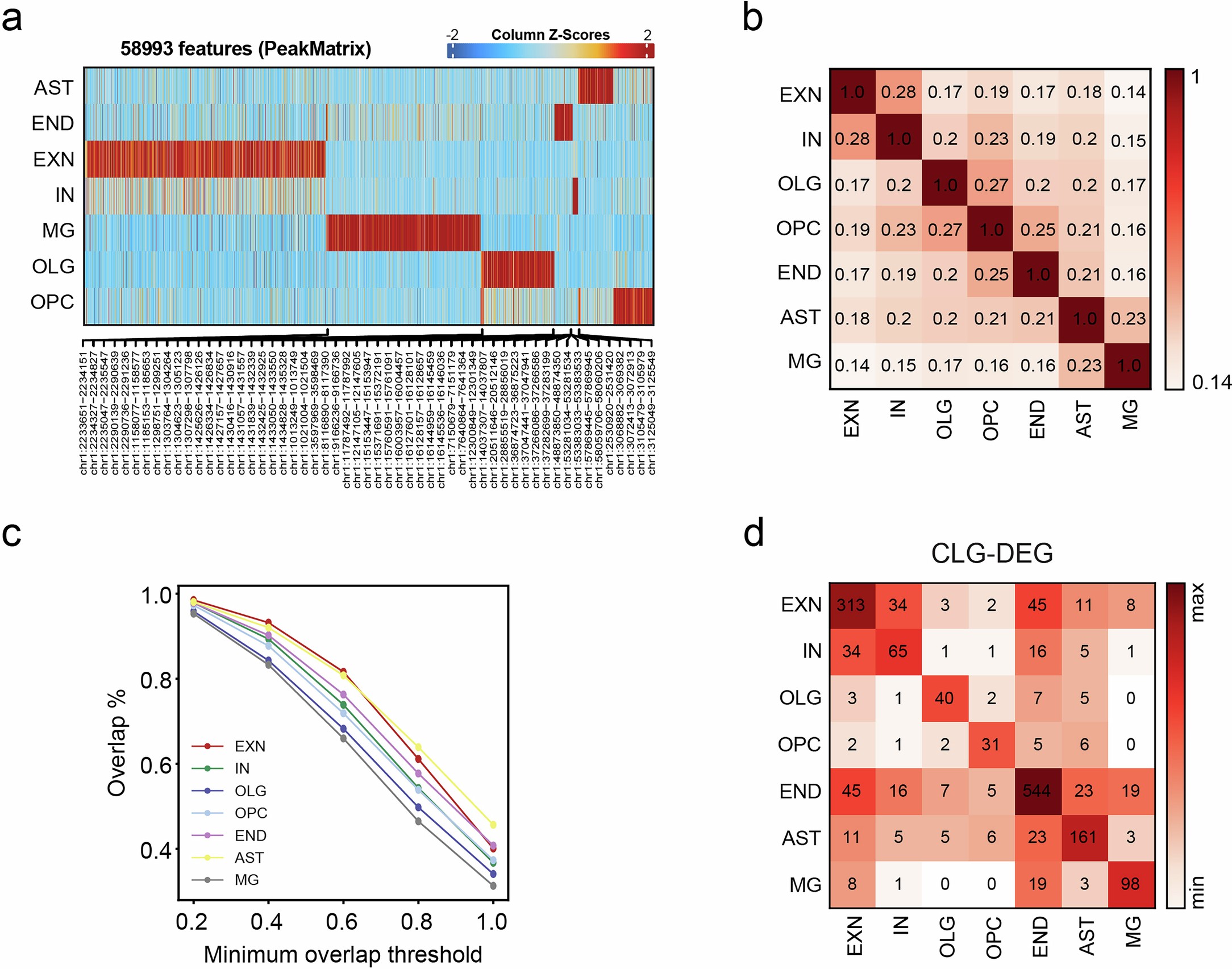 Extended Data Fig. 7: ATAC peak features in PTSD prefrontal cortex.