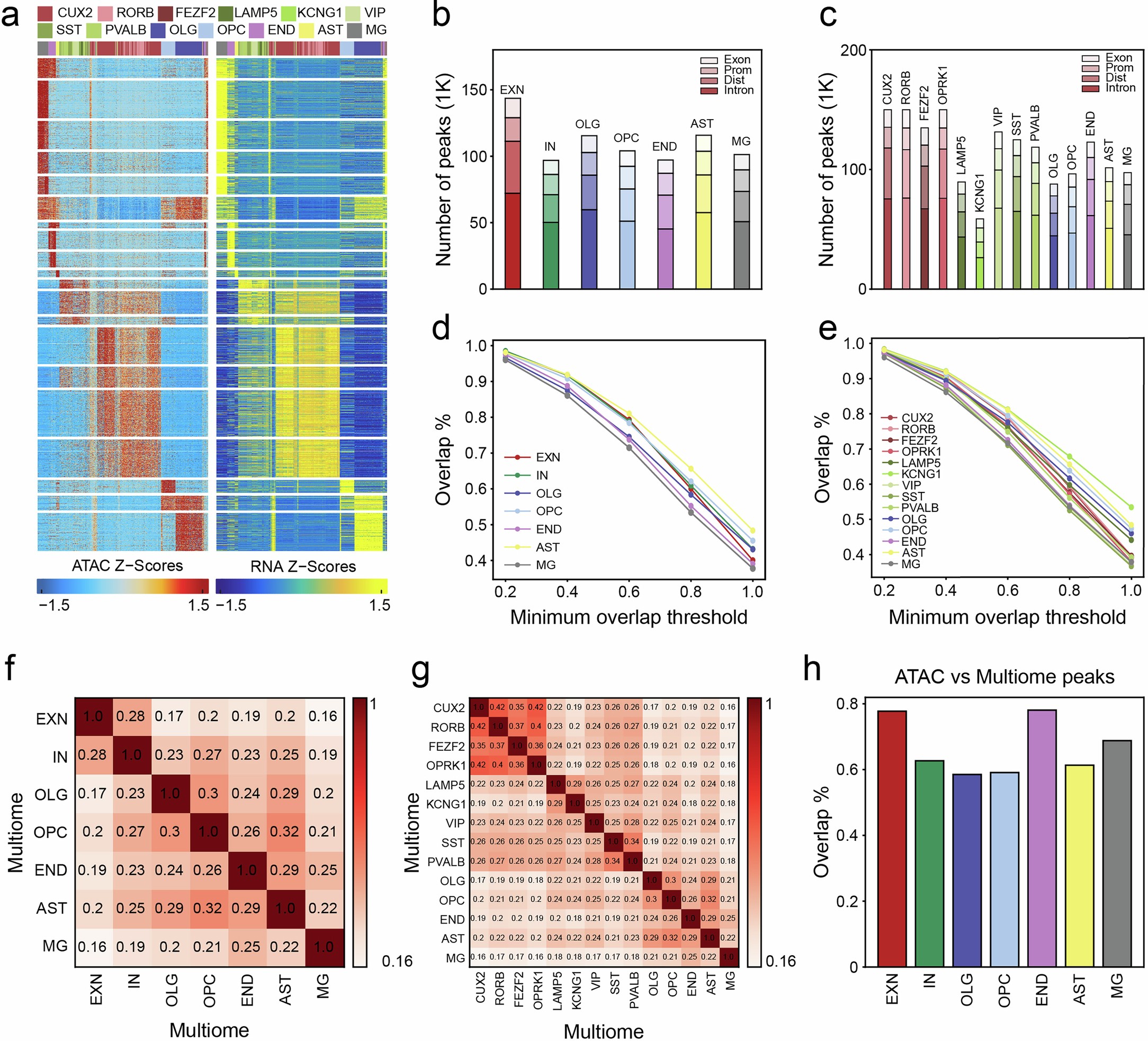 Extended Data Fig. 8: Multiome peak features in PTSD prefrontal cortex.