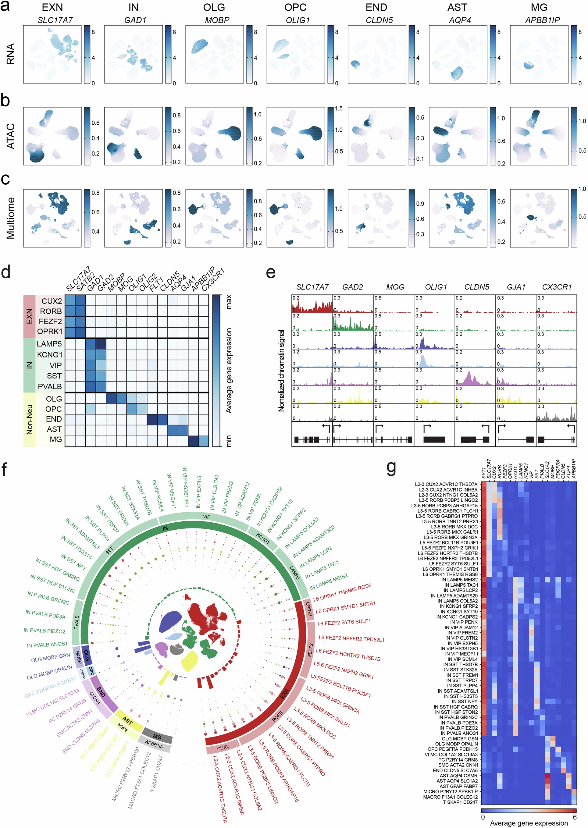 Extended Data Fig. 2: Cell type canonical markers and transcriptomic cell type annotation.