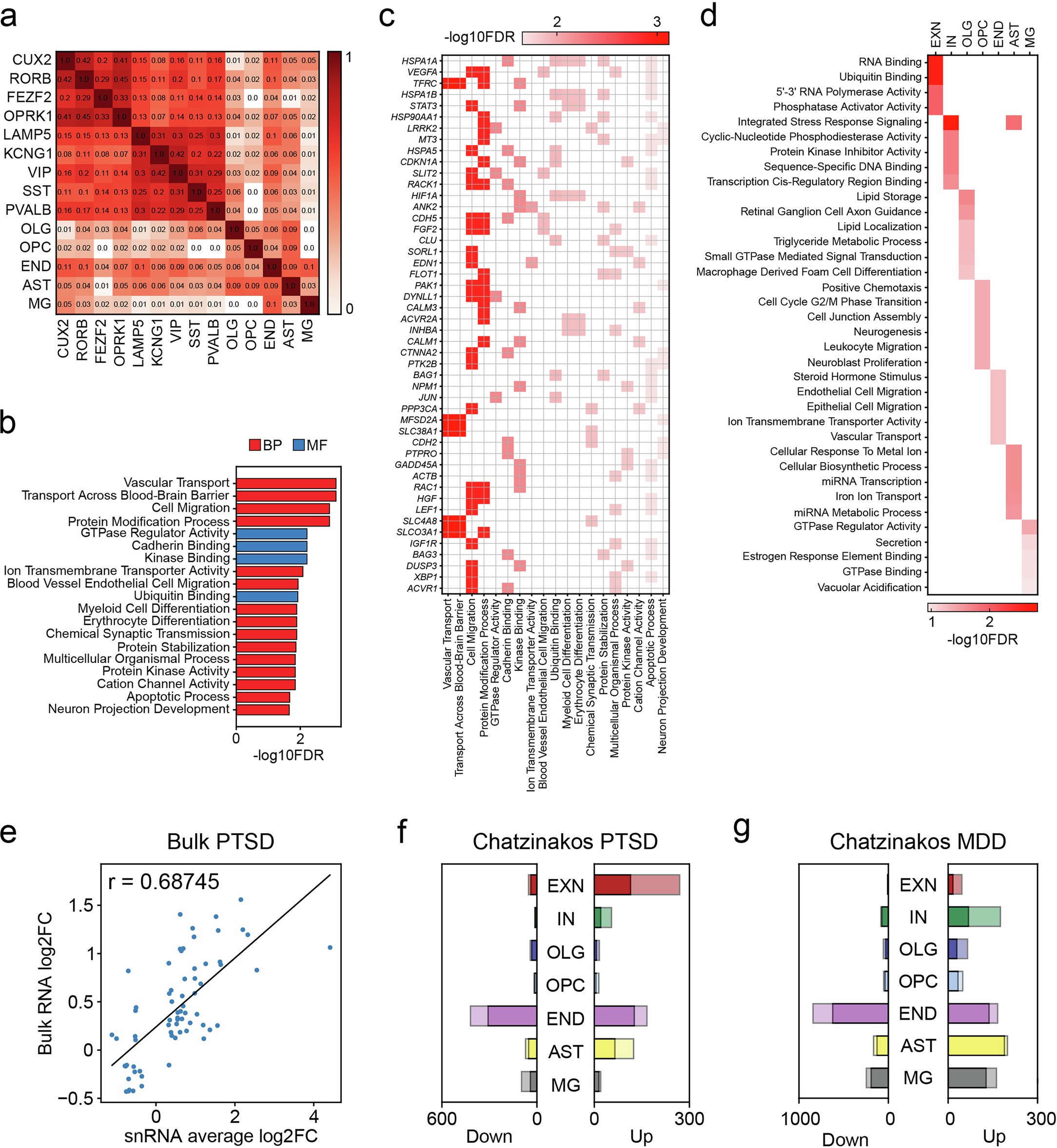 Extended Data Fig. 3: Gene set enrichment of PTSD DEGs.