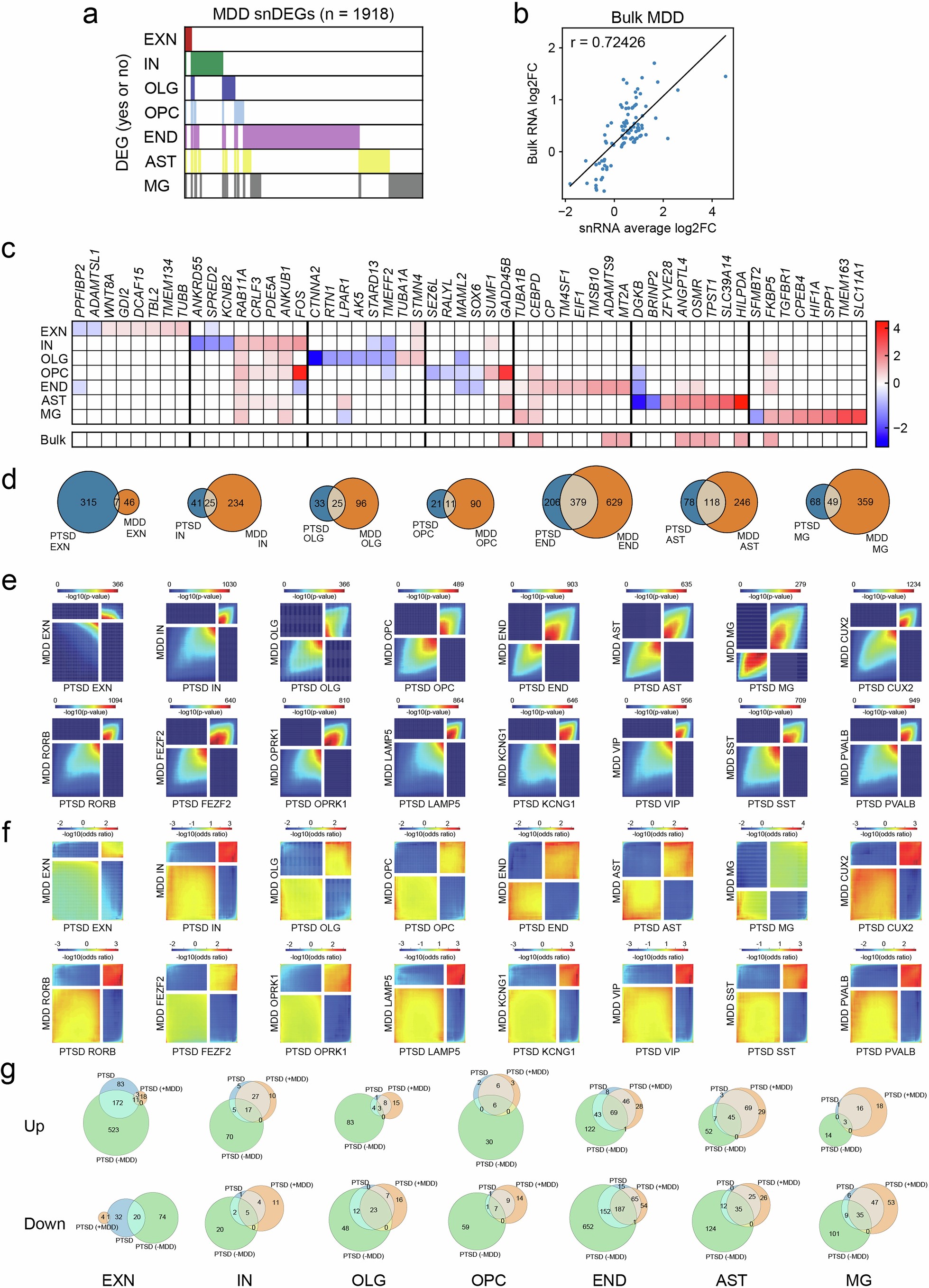 Extended Data Fig. 4: Systematic comparisons of PTSD versus MDD.
