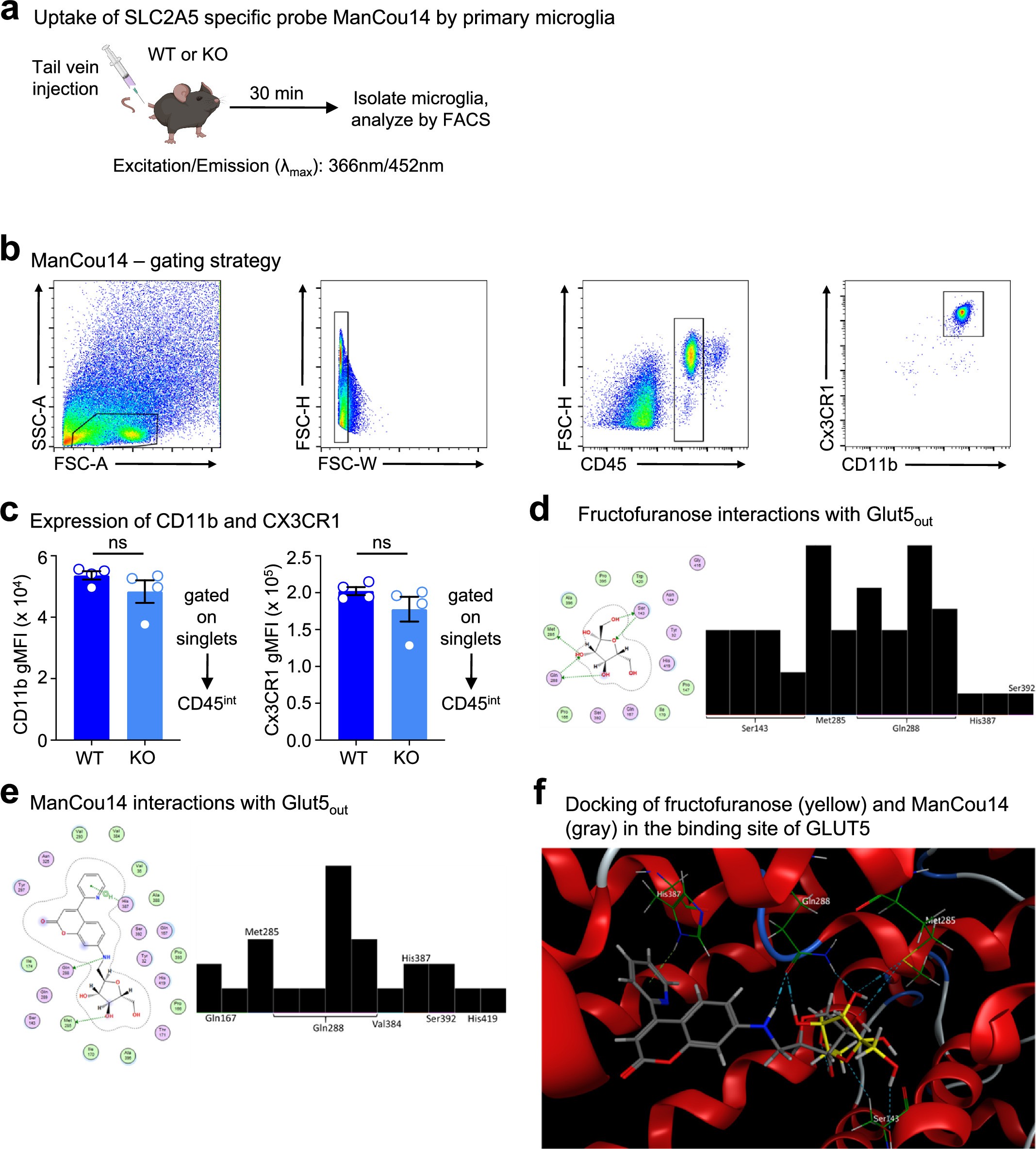 Extended Data Fig. 8: Analysis of ManCou14 uptake by microglia in vivo.