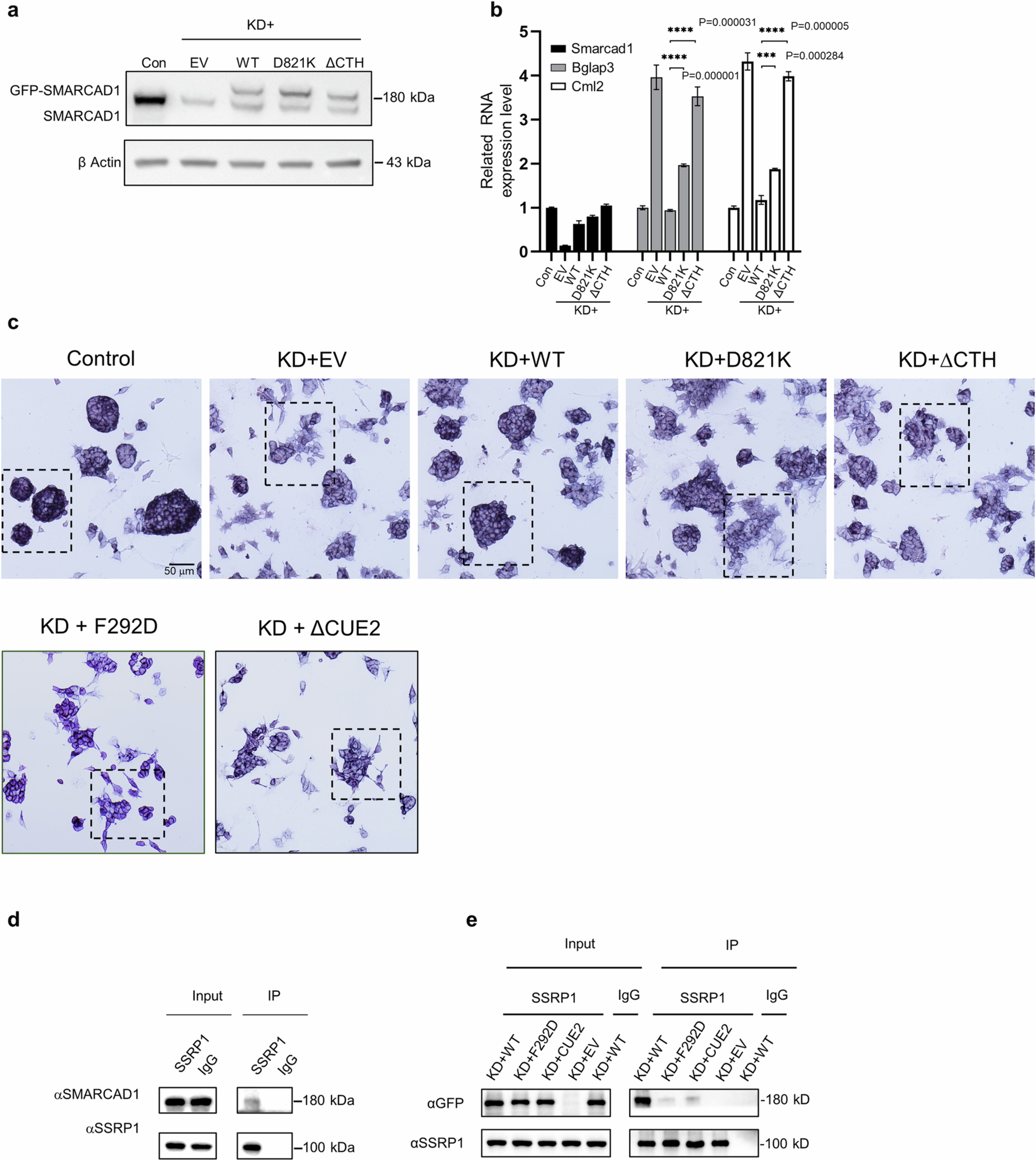 Extended Data Fig. 5