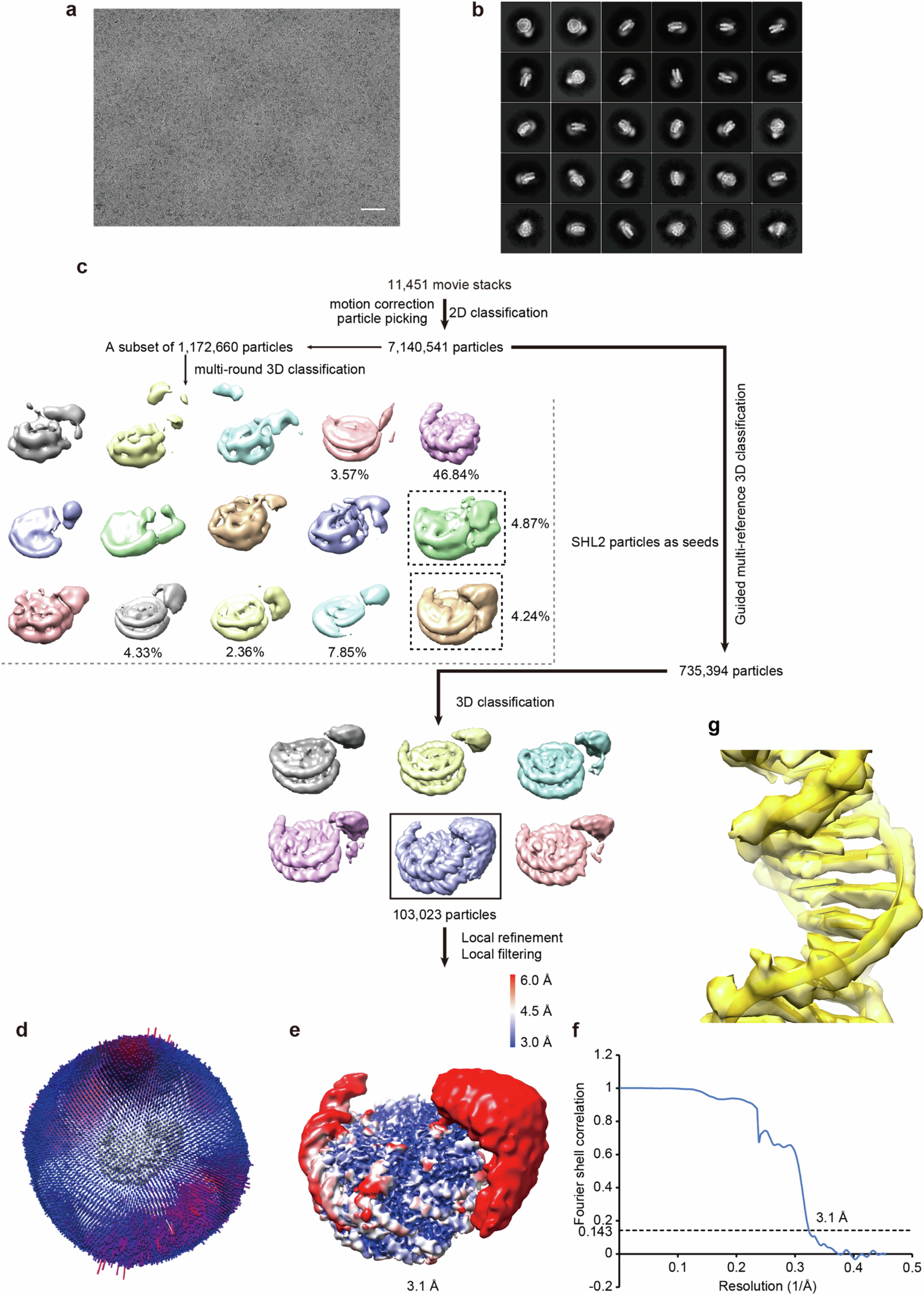 Extended Data Fig. 8