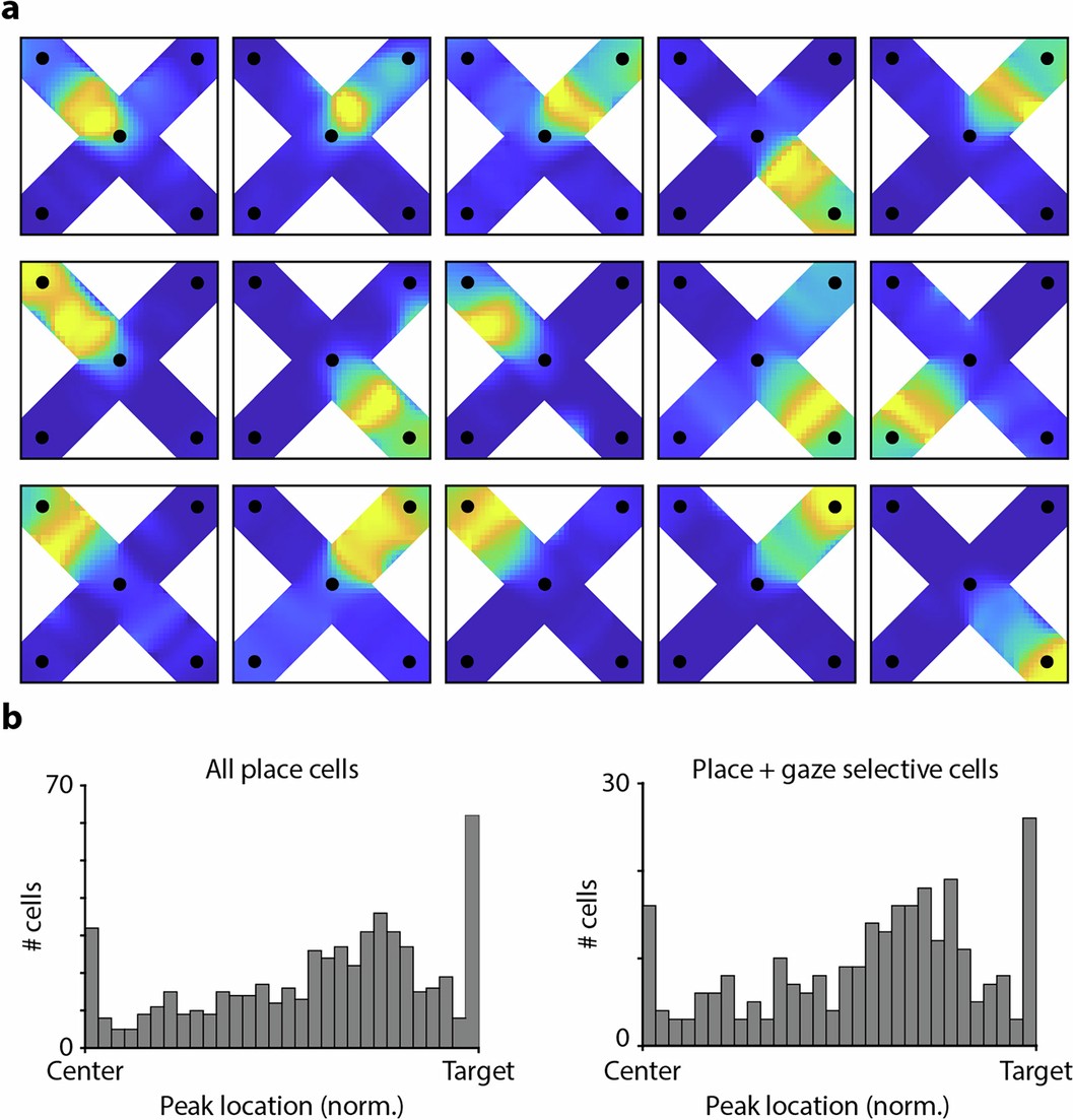 Extended Data Fig. 6