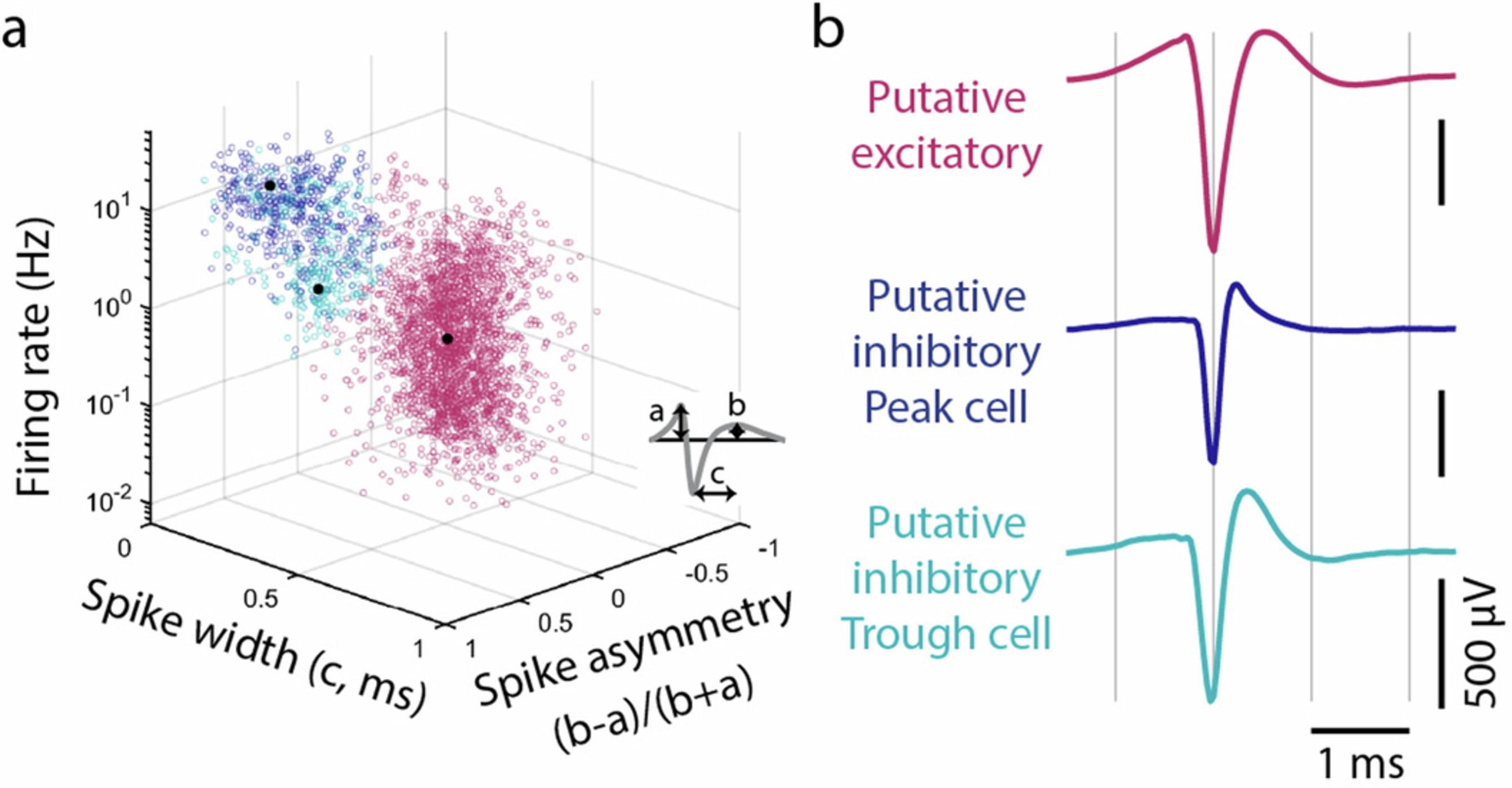 Extended Data Fig. 9