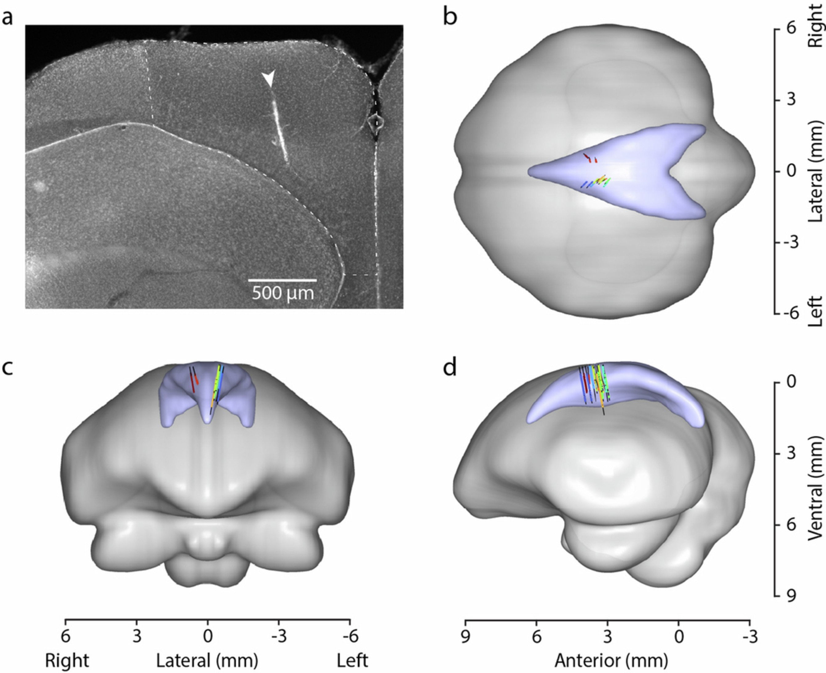 Extended Data Fig. 3