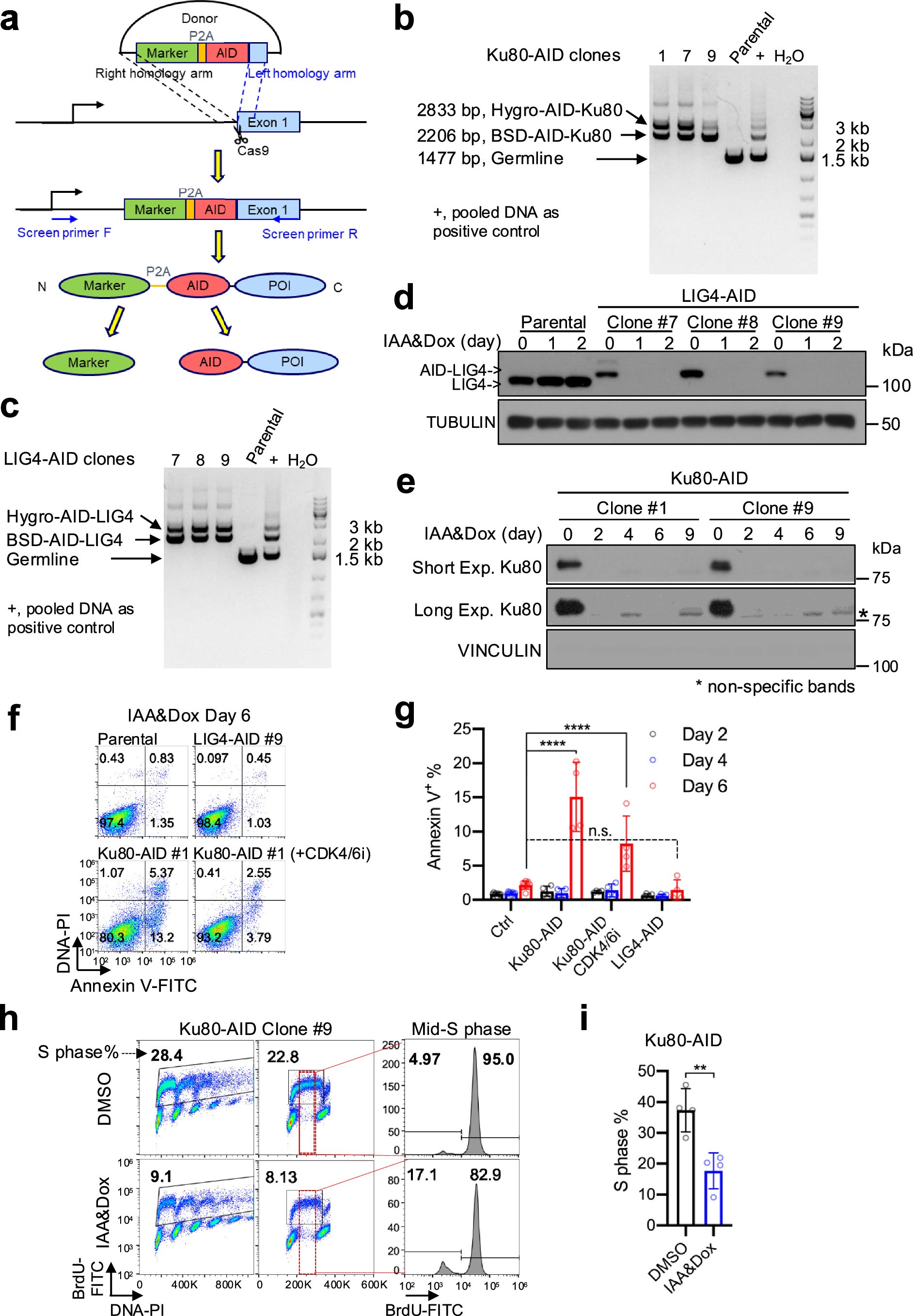 Extended Data Fig. 2