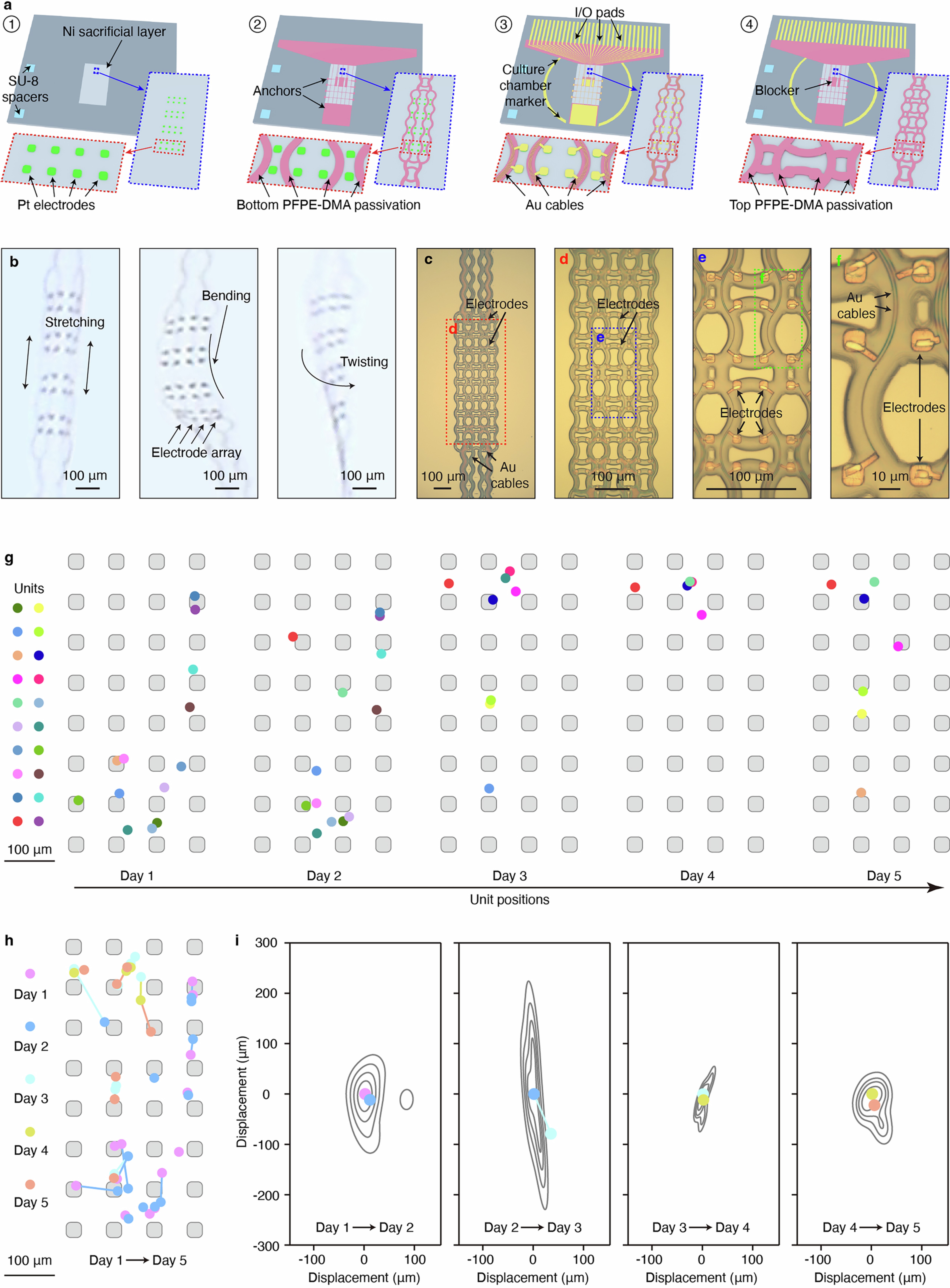 Extended Data Fig. 9: Soft and stretchable high-density mesh electrode array for tracking neural activities.