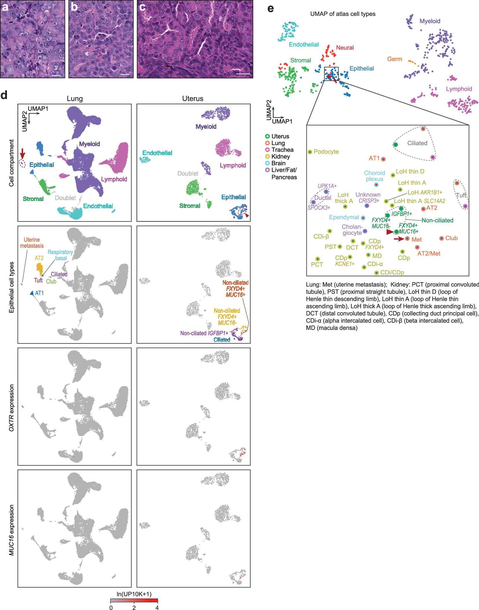 Extended Data Fig. 9