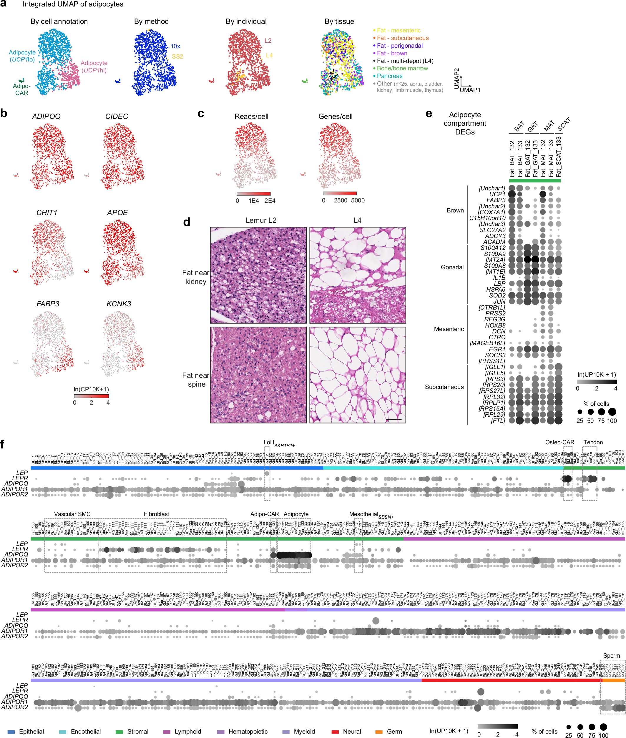 Extended Data Fig. 10