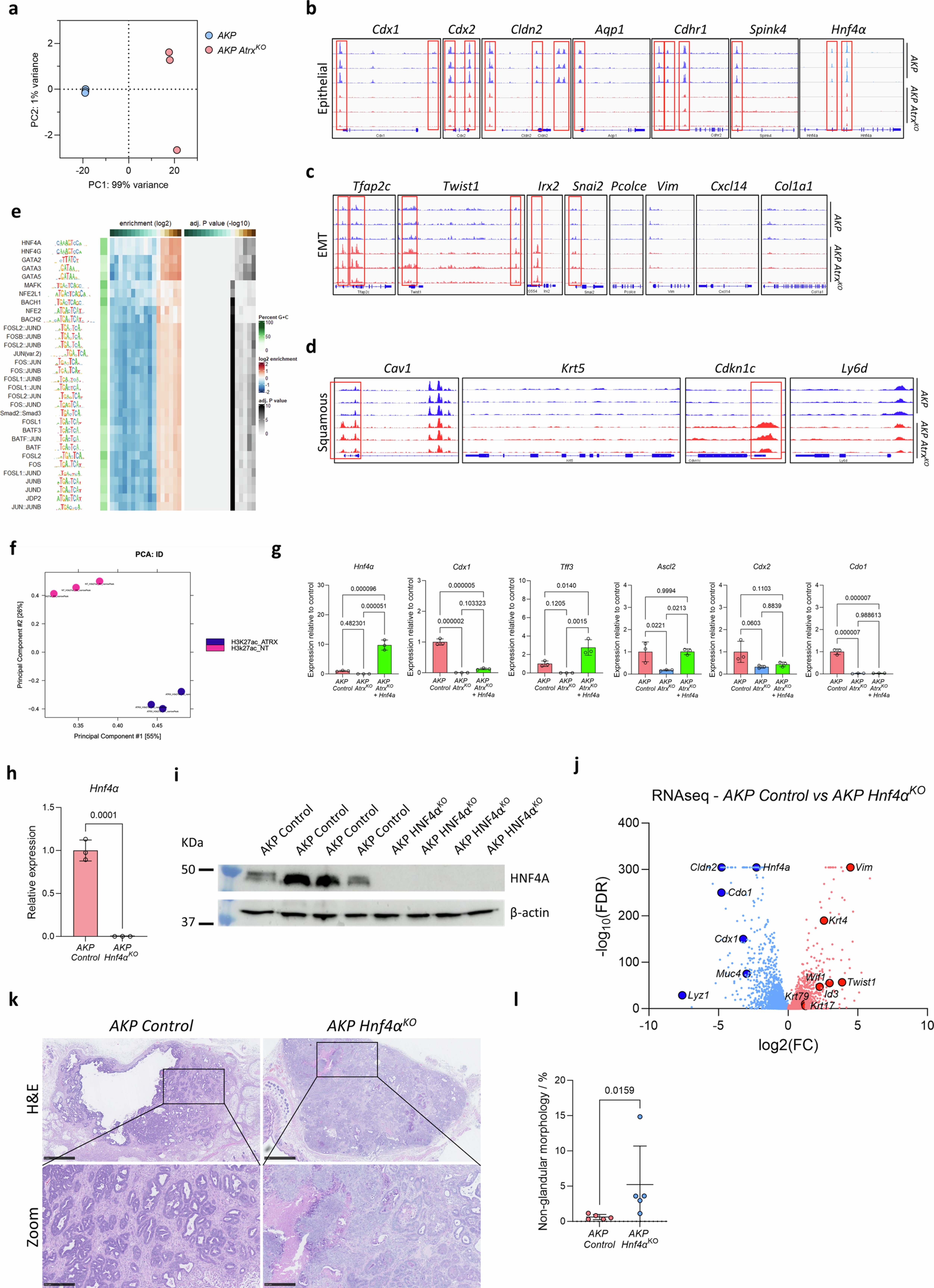 Extended Data Fig. 9