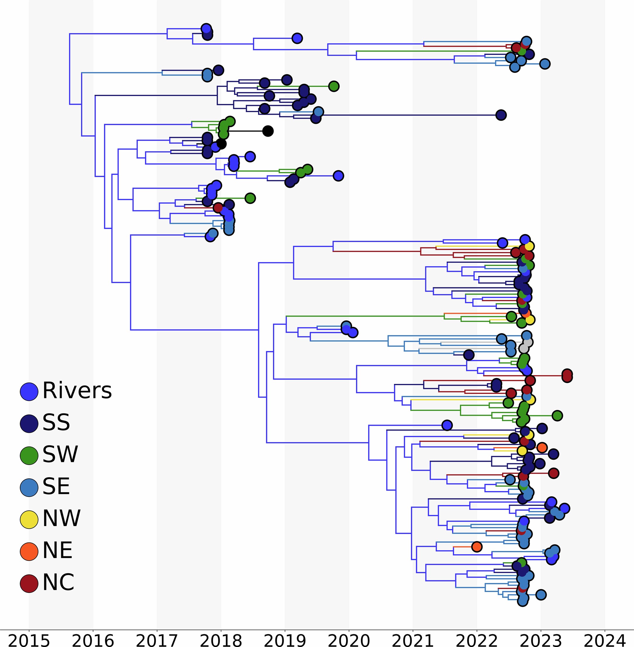 Extended Data Fig. 1: Phylogeographic analyses of Clade IIb in Nigeria.