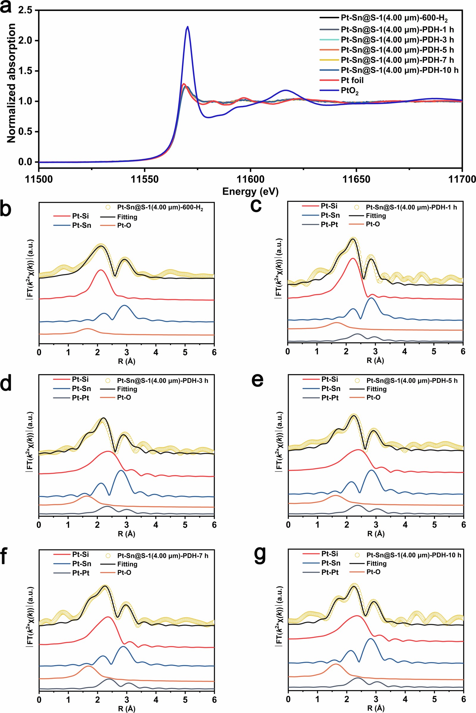 Extended Data Fig. 5