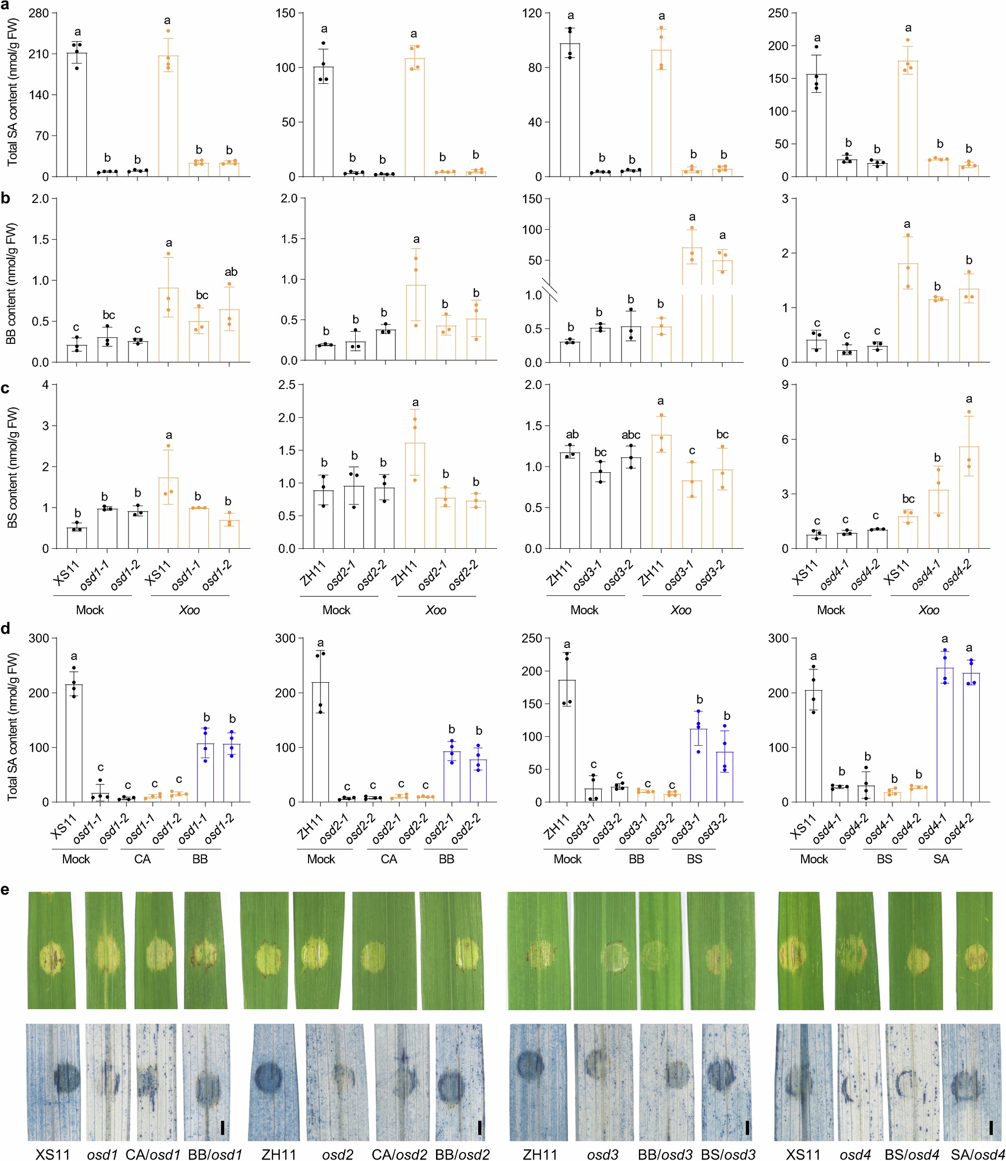 Extended Data Fig. 8