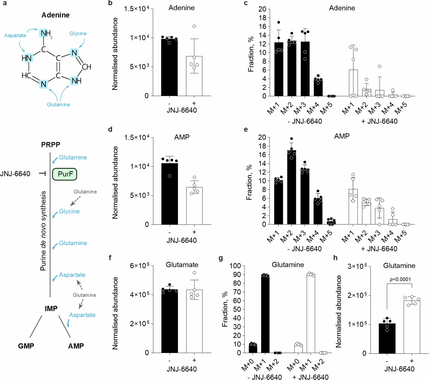 Extended Data Fig. 2: The effect of JNJ-6640 on de novo purine biosynthesis.