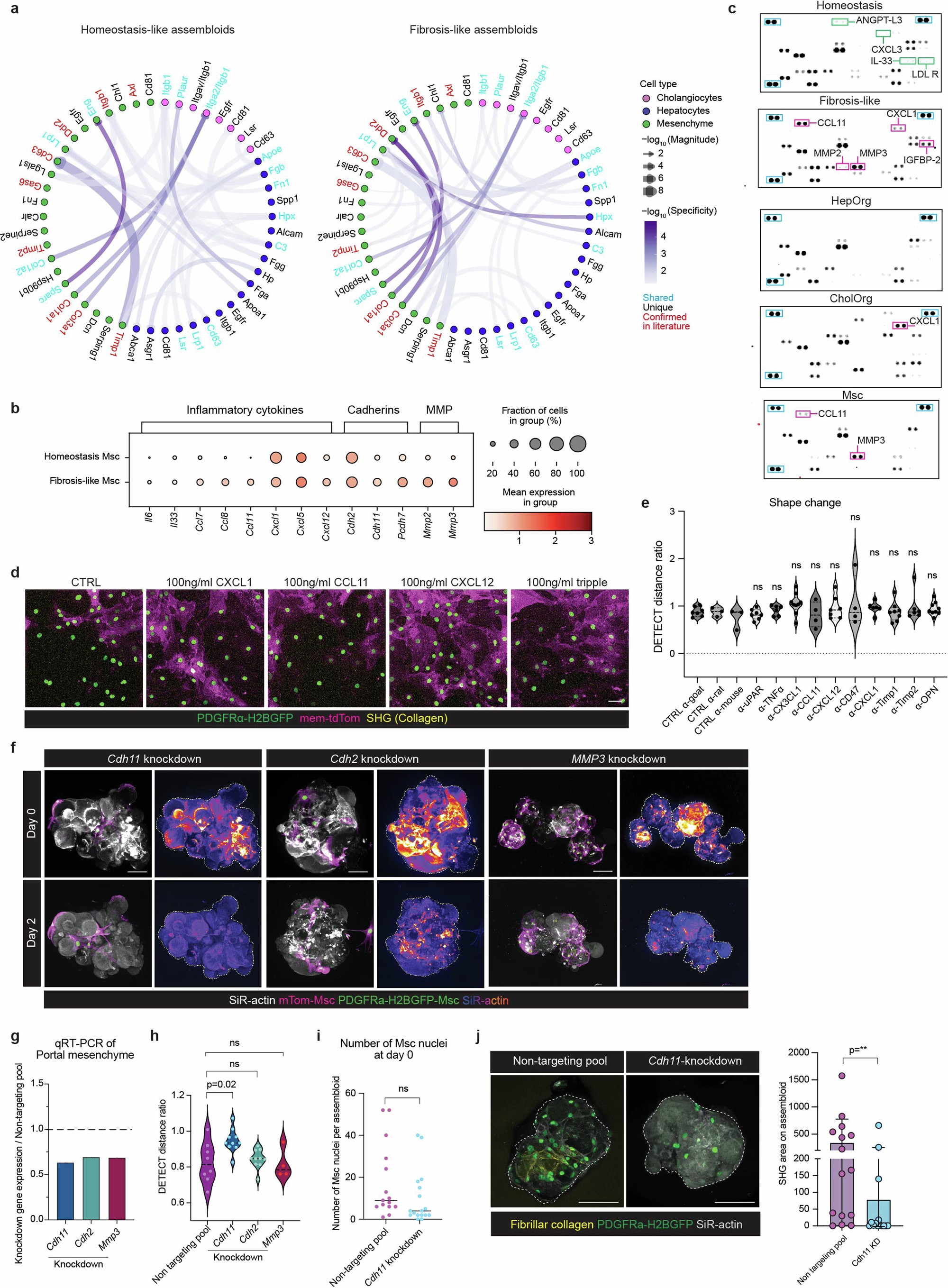 Extended Data Fig. 12