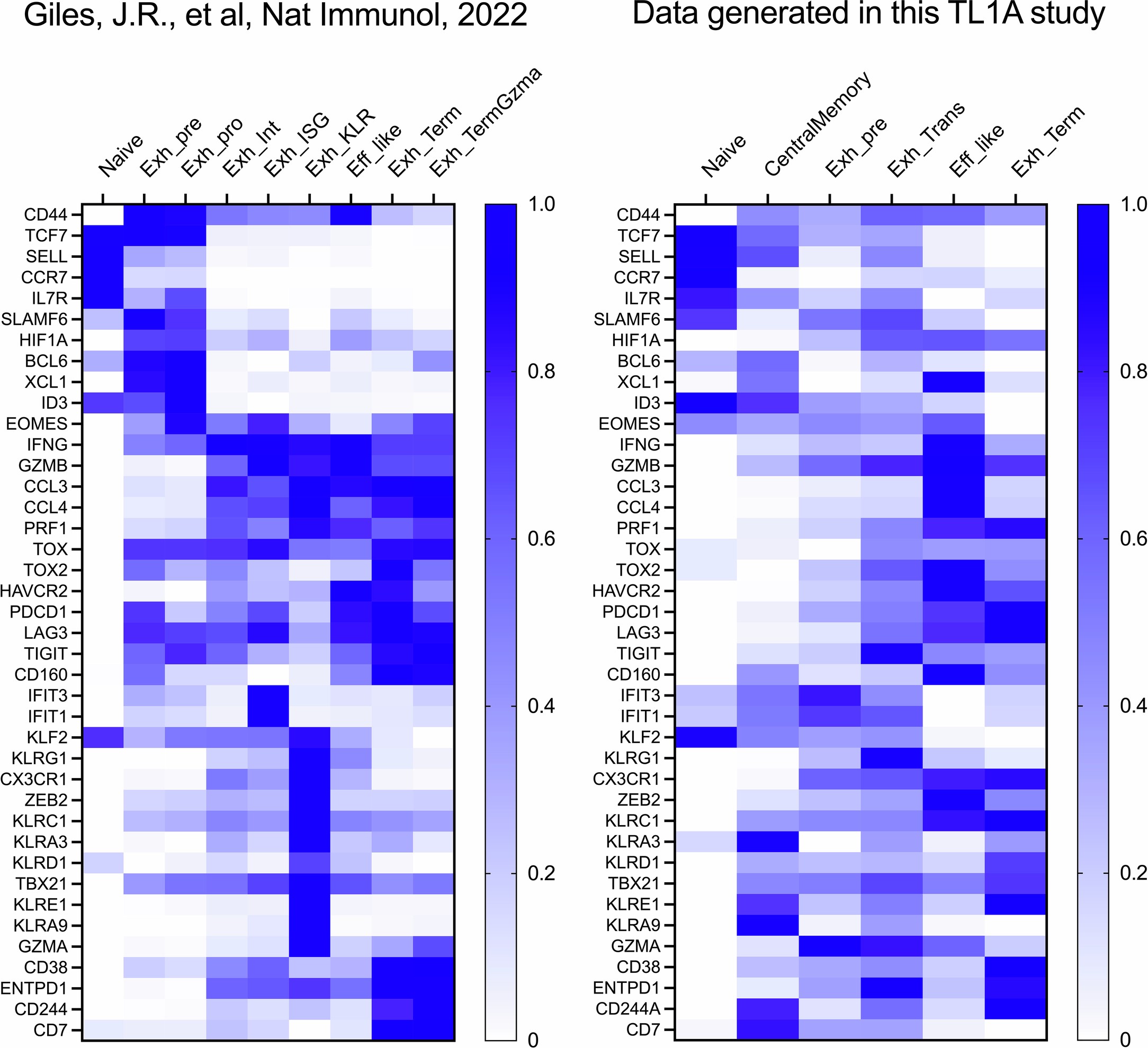 Extended Data Fig. 8: CD8 T cells subclusters assignment strategy.
