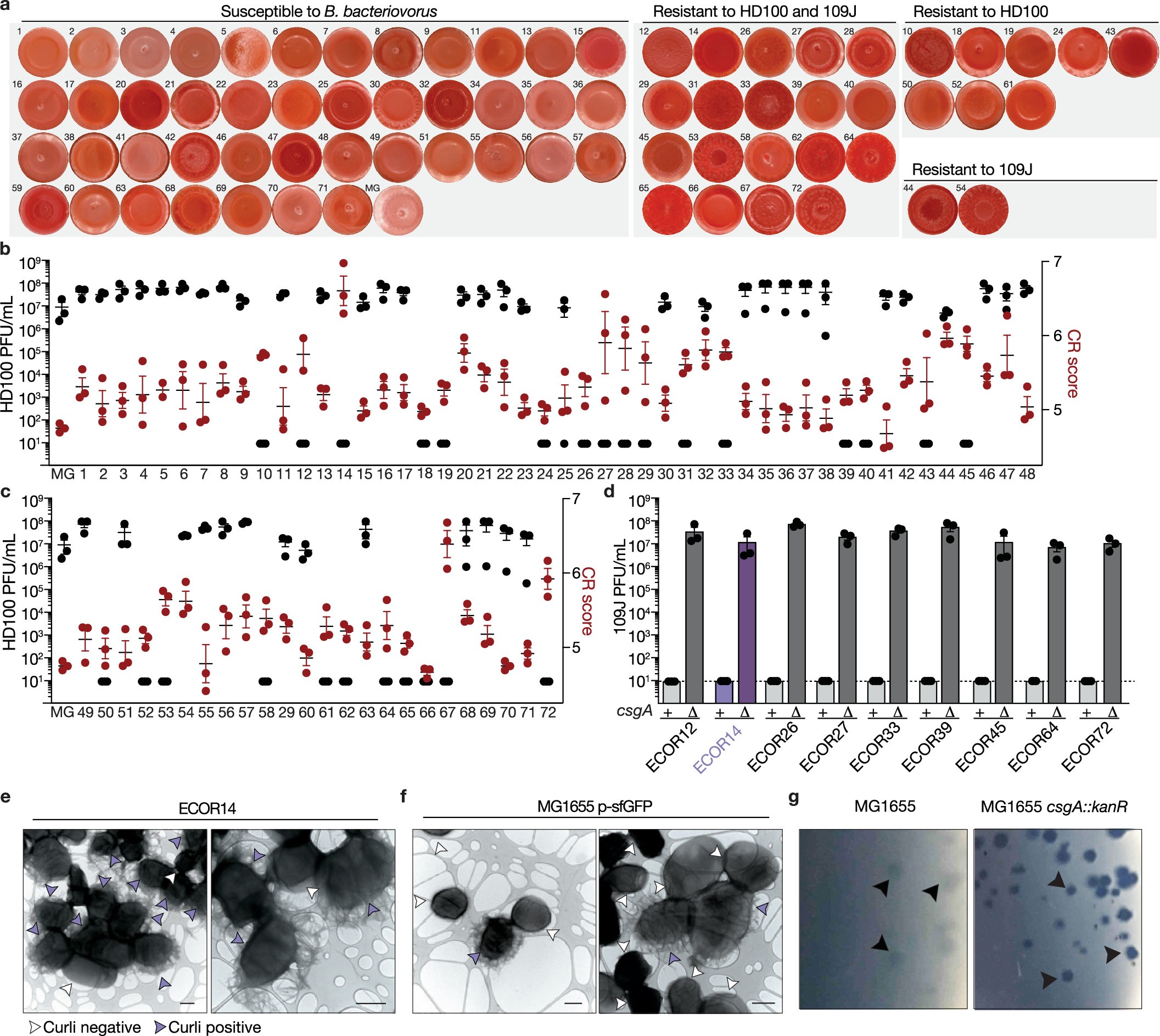 Extended Data Fig. 7