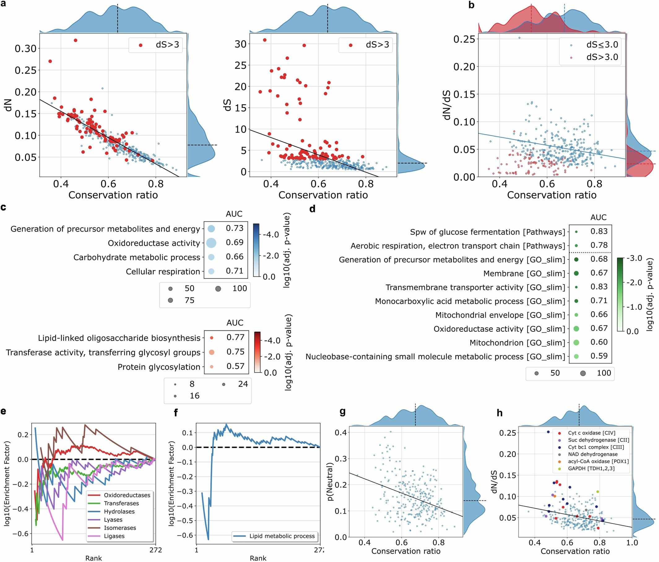 Extended Data Fig. 8: Refinement of the dN/dS calculation to remove skewed values.