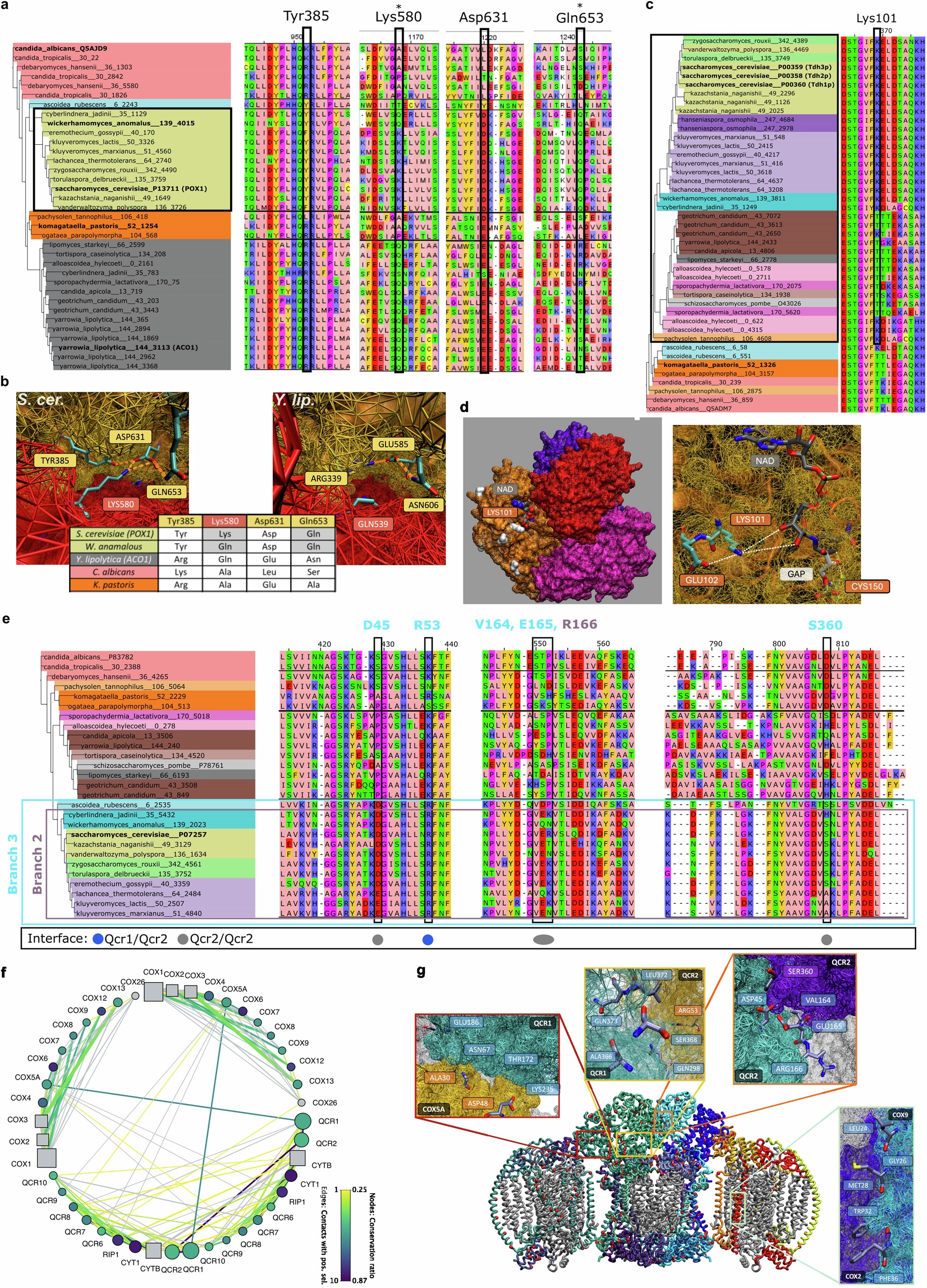 Extended Data Fig. 9