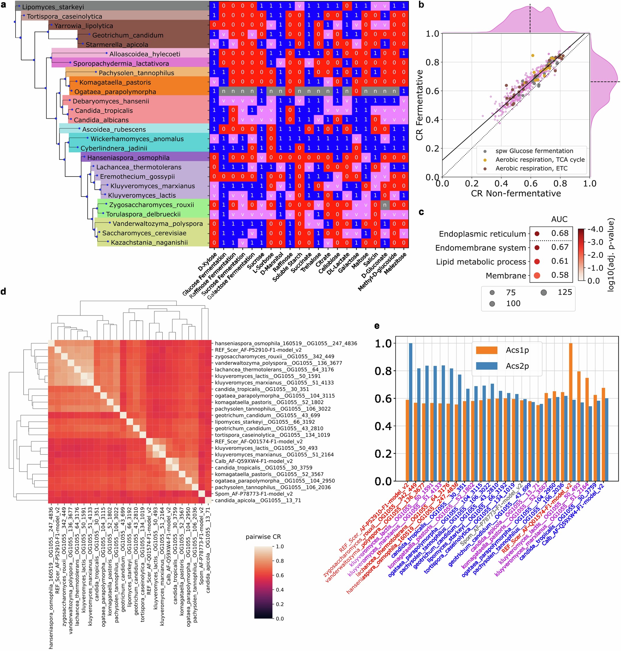 Extended Data Fig. 2: Nutrient utilization constraining structural evolution in Saccharomycotina.
