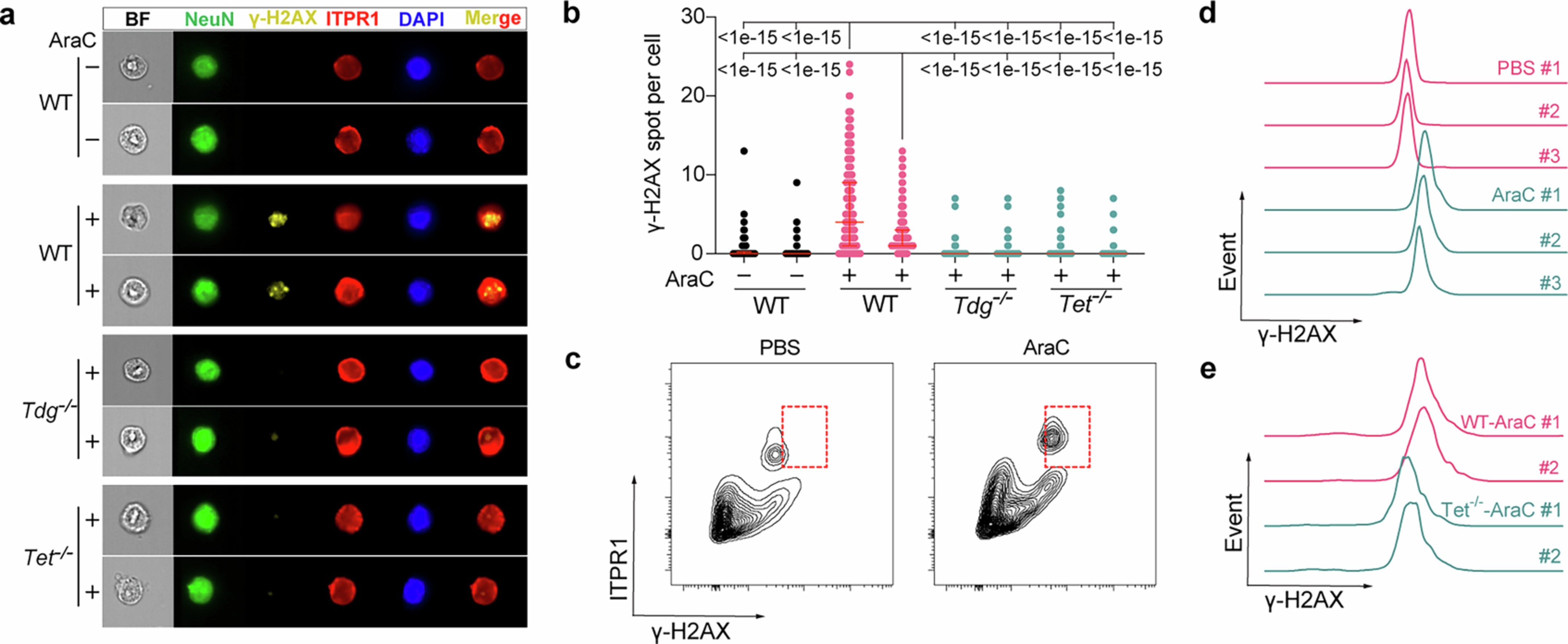 Extended Data Fig. 6