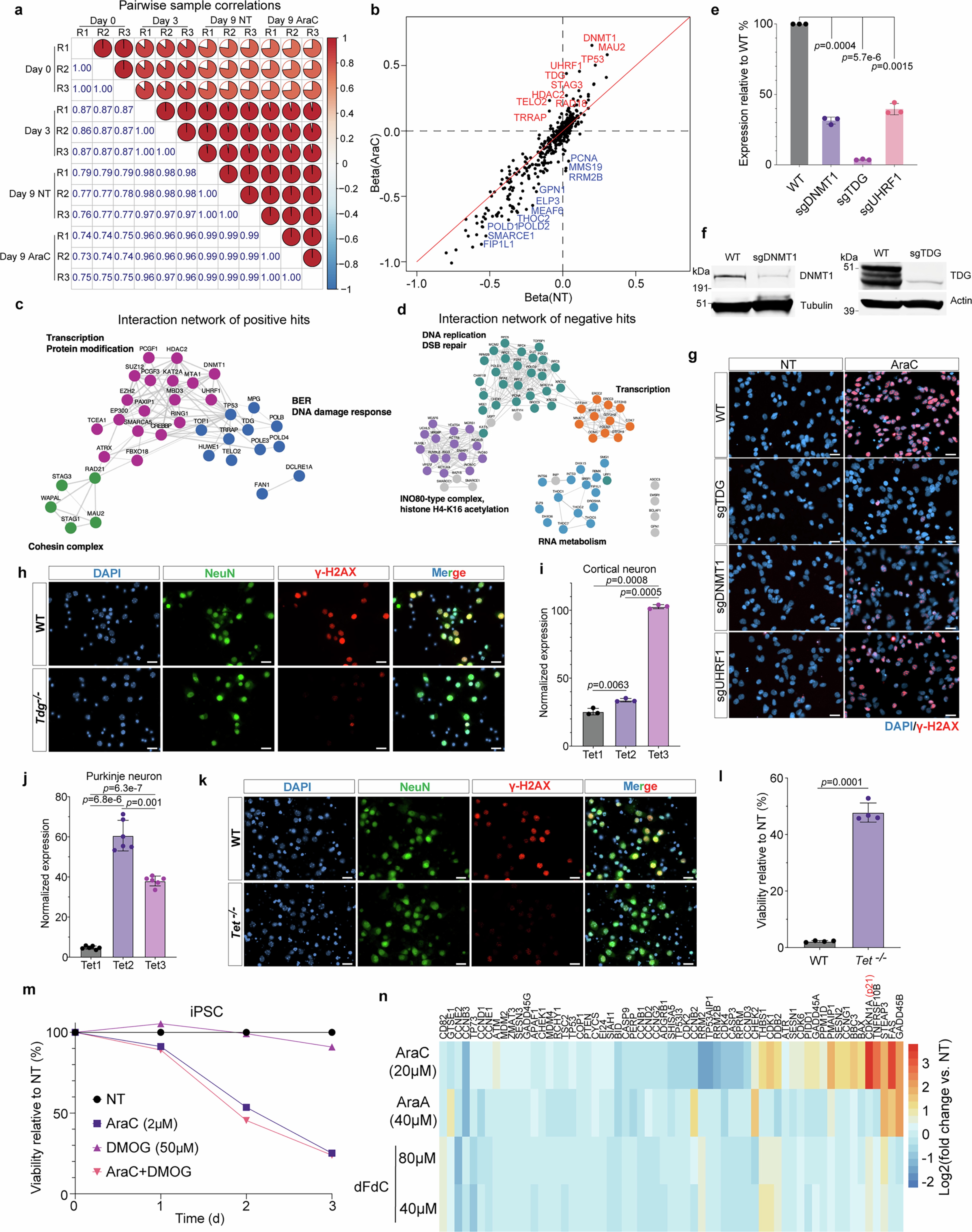 Extended Data Fig. 1