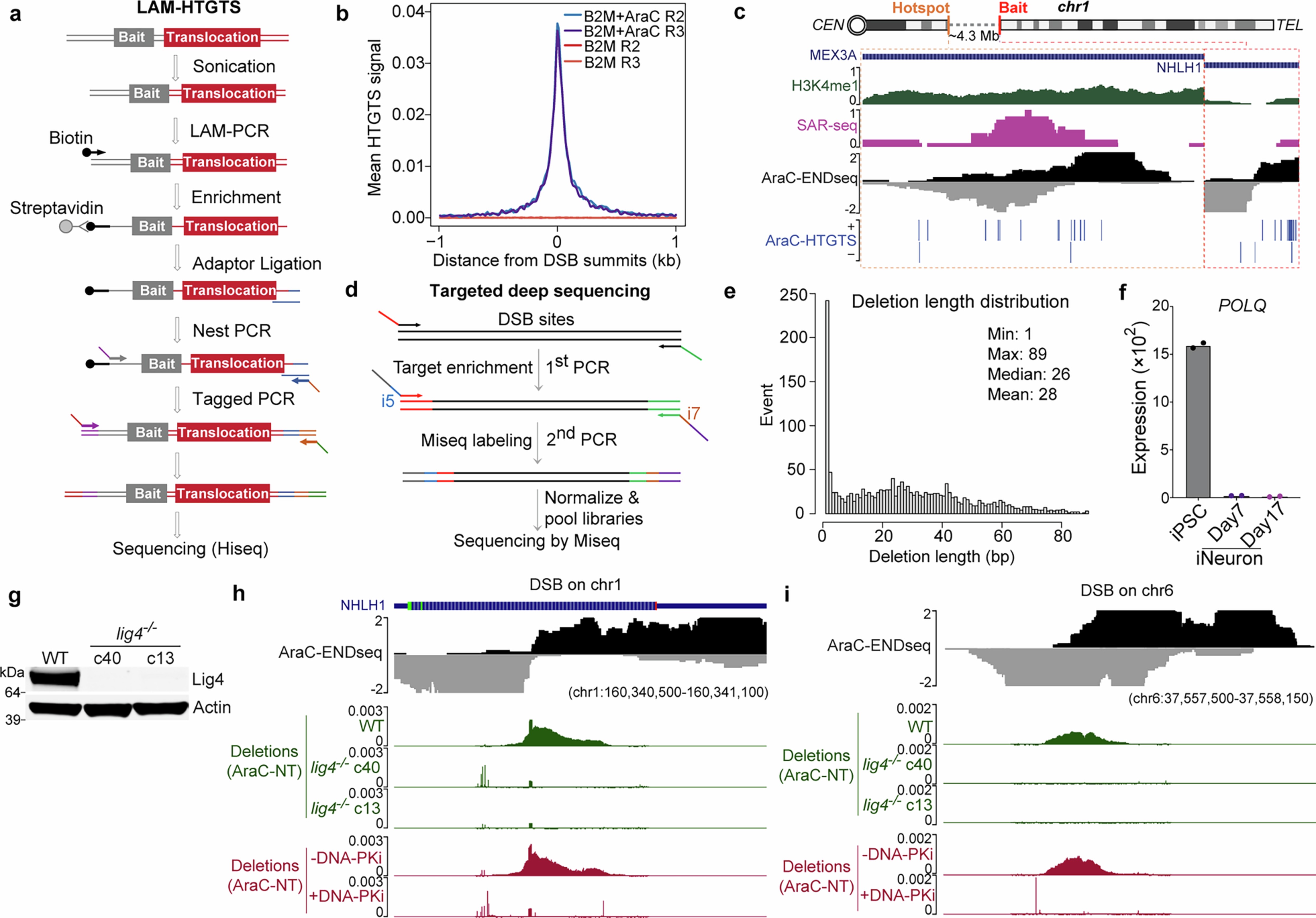 Extended Data Fig. 4